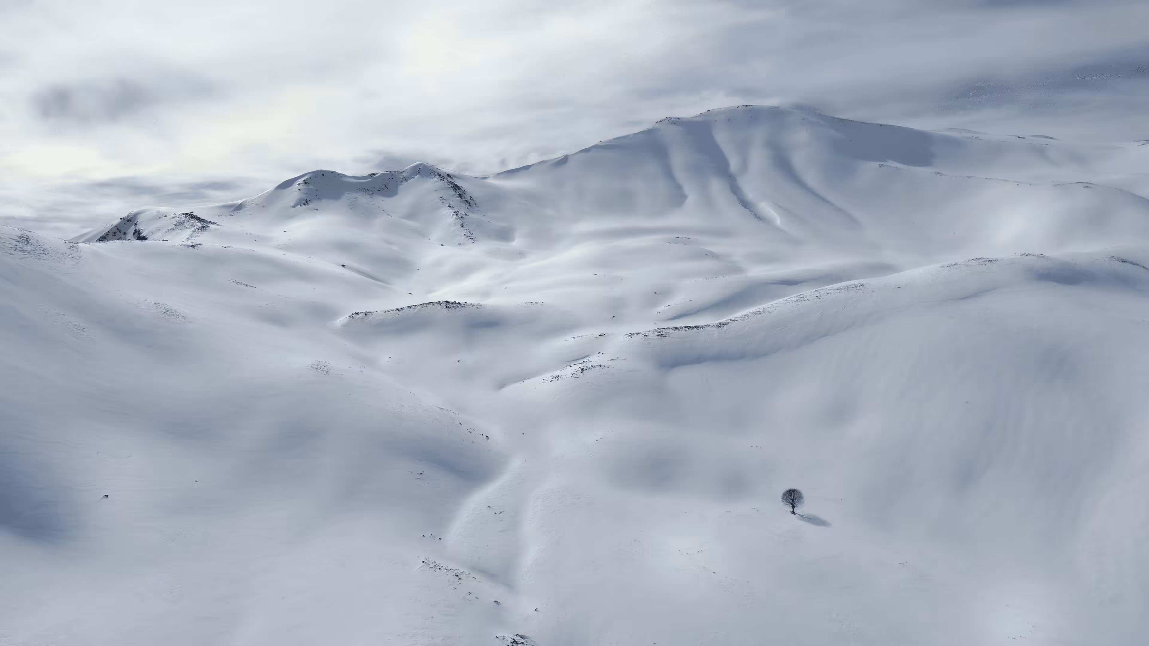 alone but strong #1