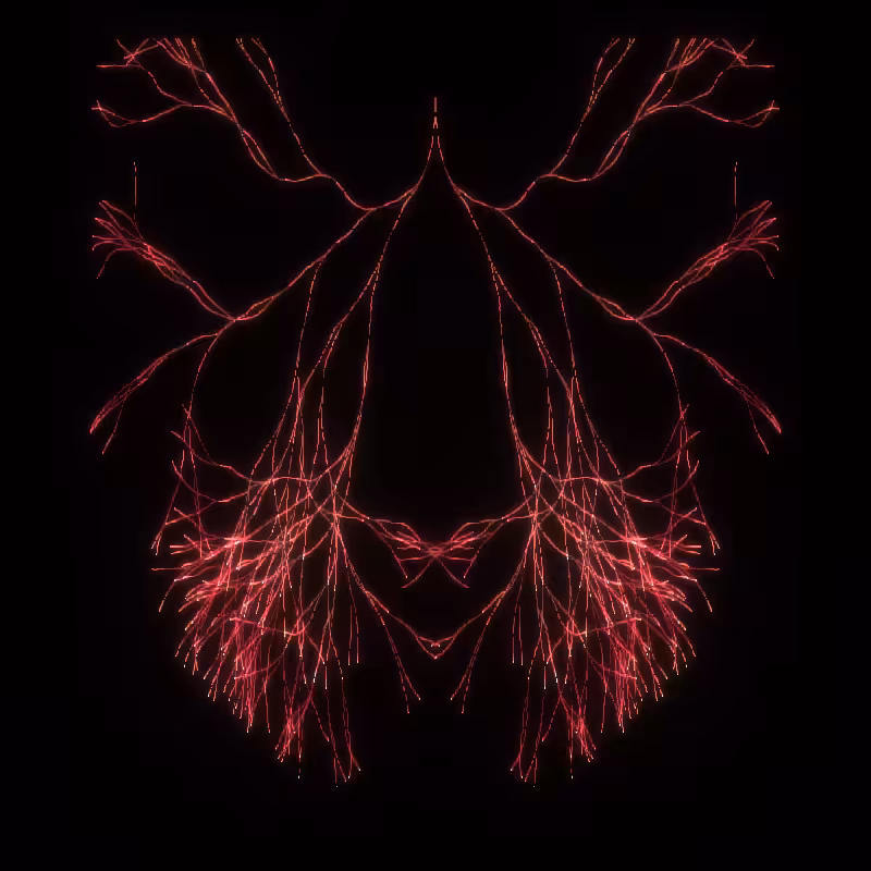 Oiseaux-Manège #15