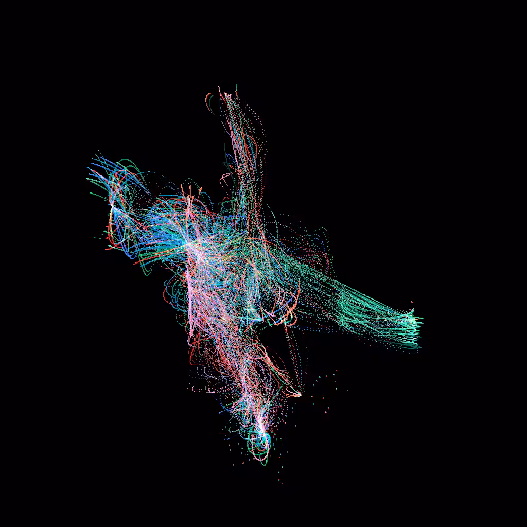 Birds #71