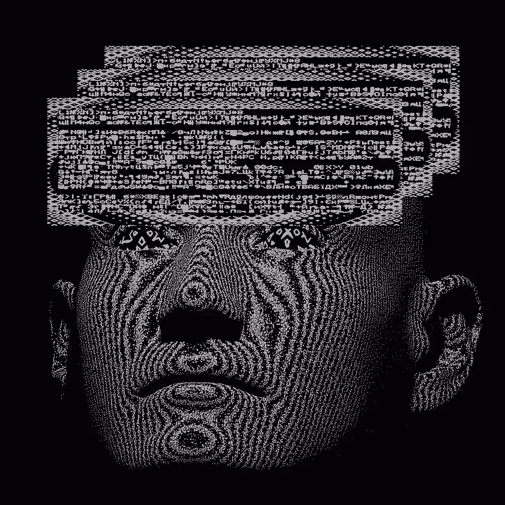 The Data Face