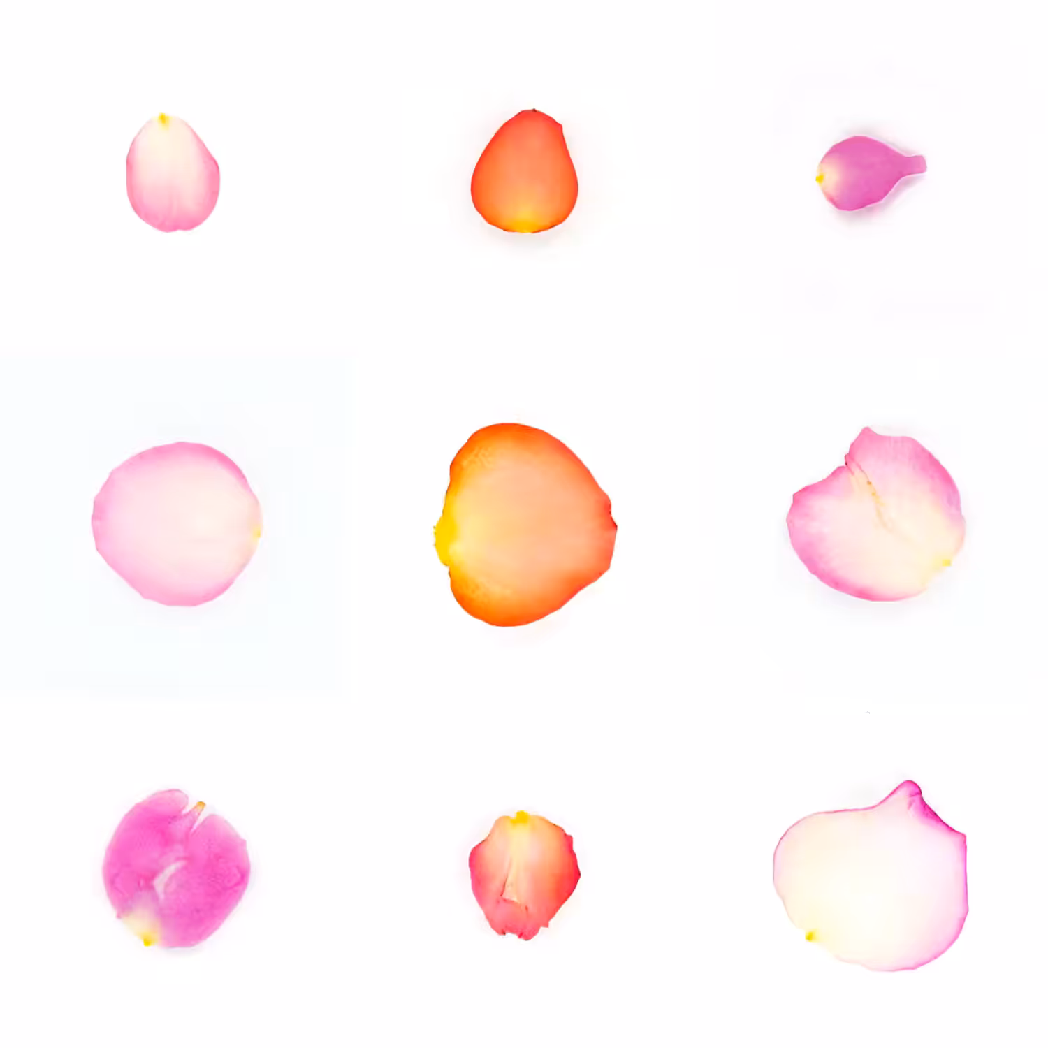 Infinite Petals 3x3#1797