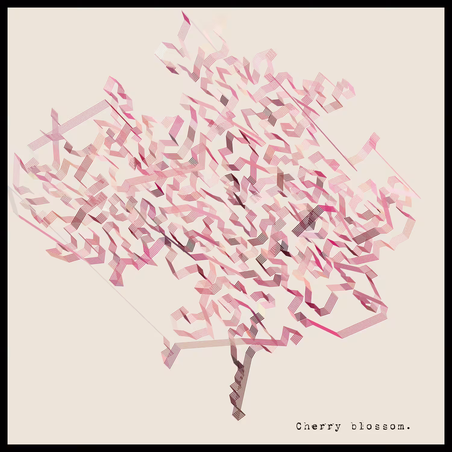 Cherry blossom