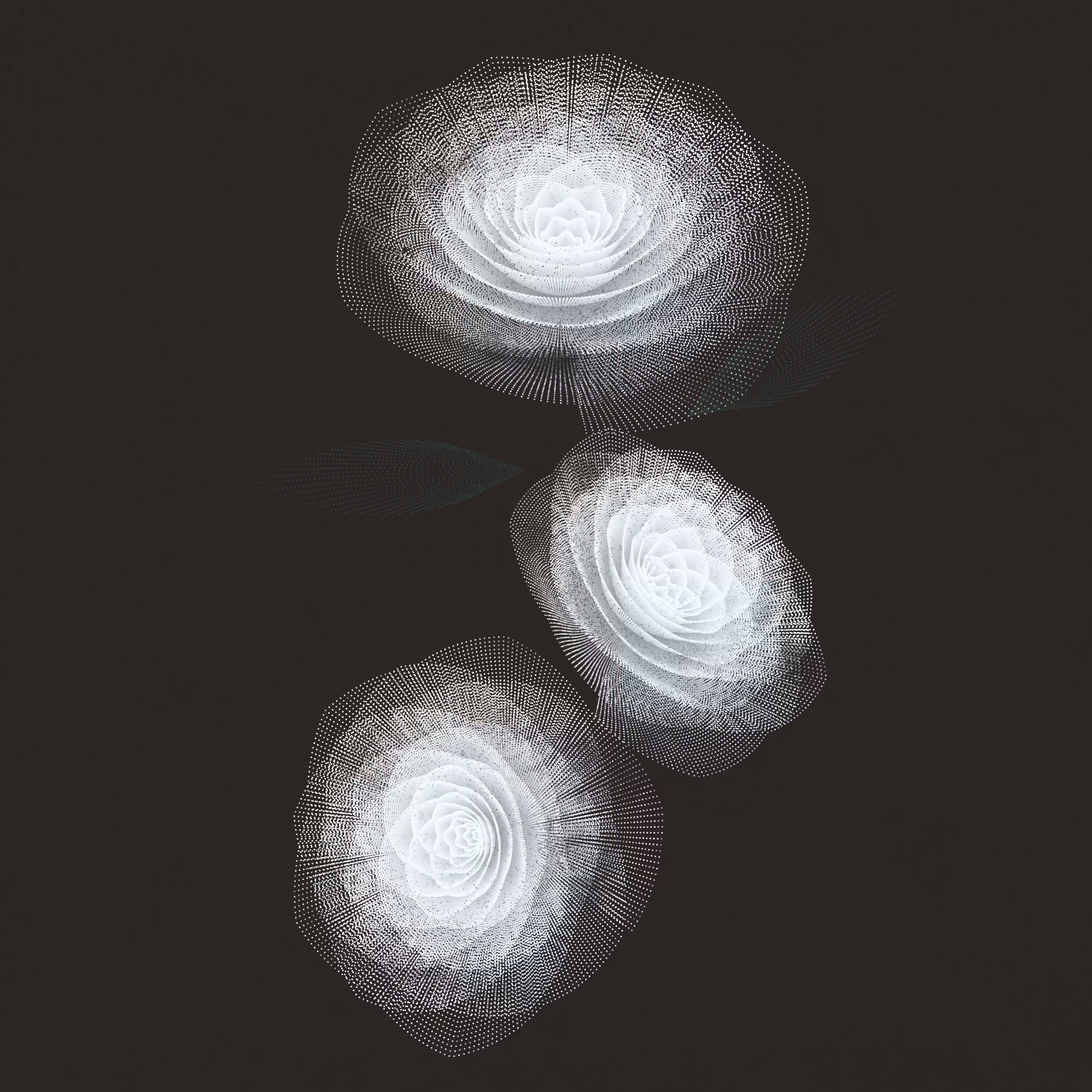 Flower Study #3