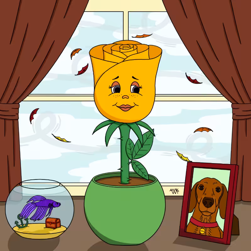 Blumeez: Sill Life #9