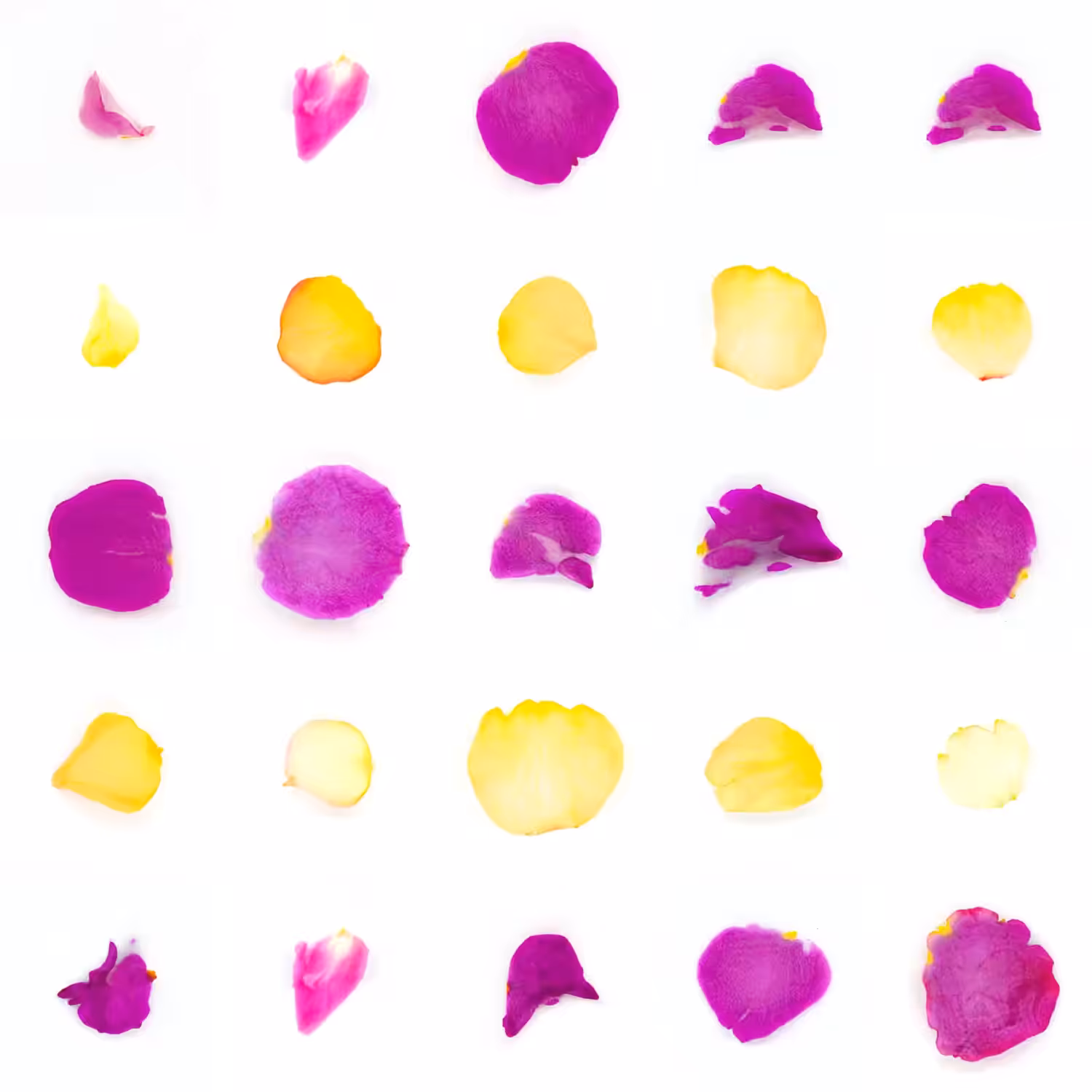 Infinite Petals 5x5#2748