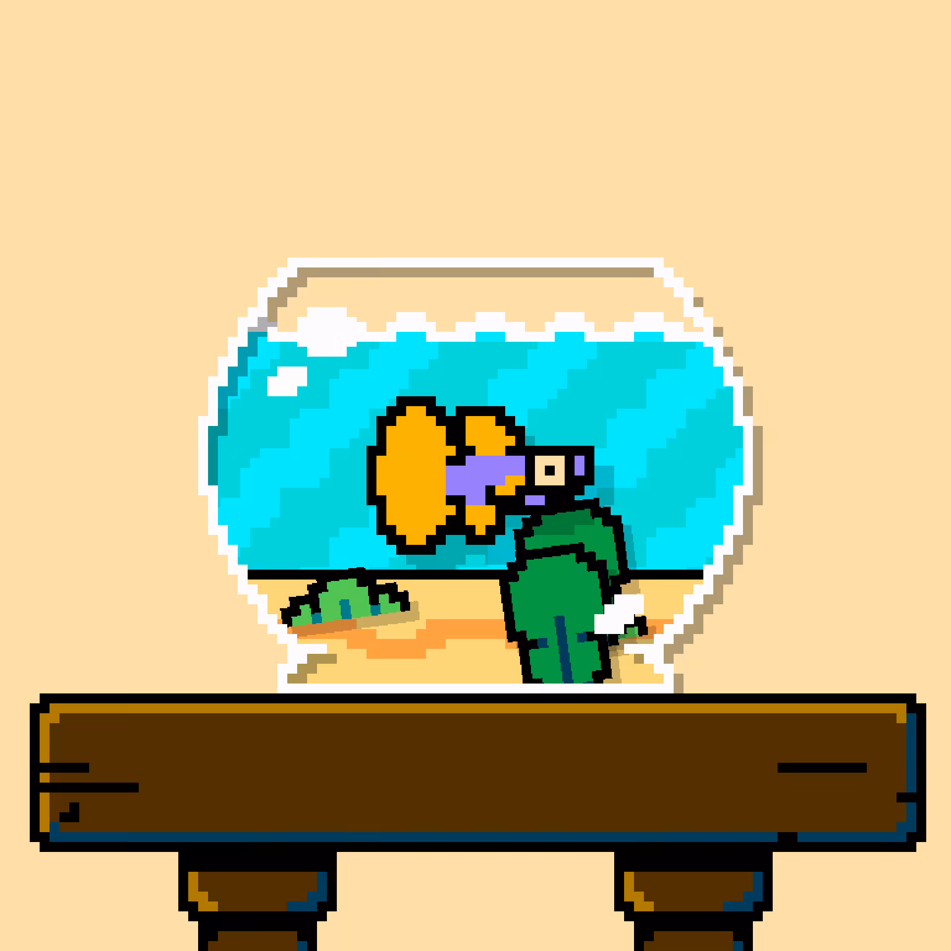 betta fish #312