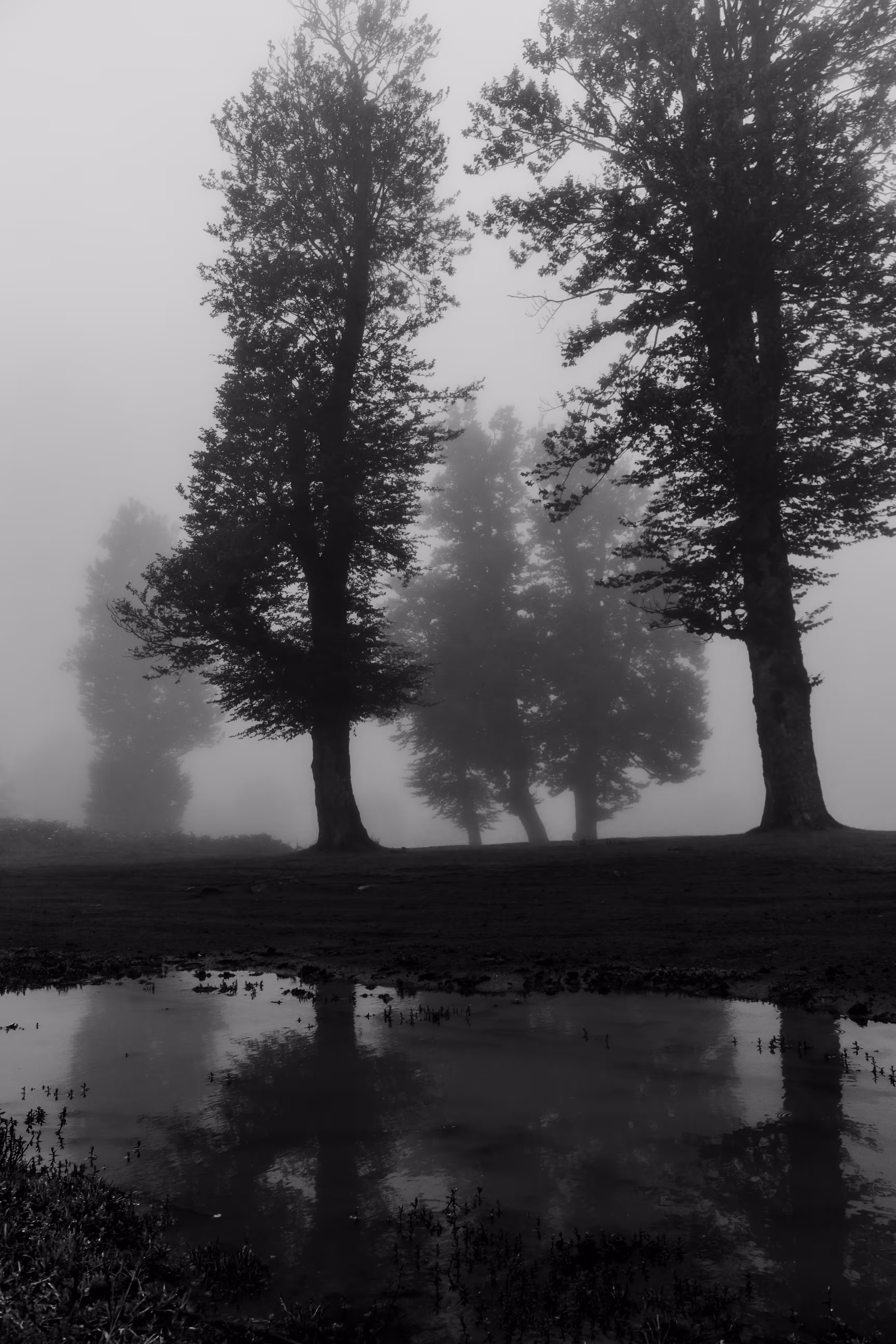 Lost In Storm