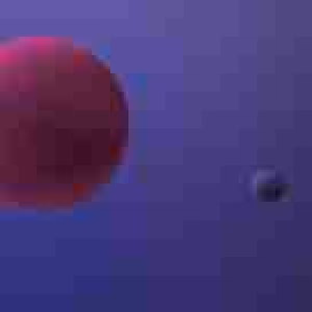 Orbit 231936346