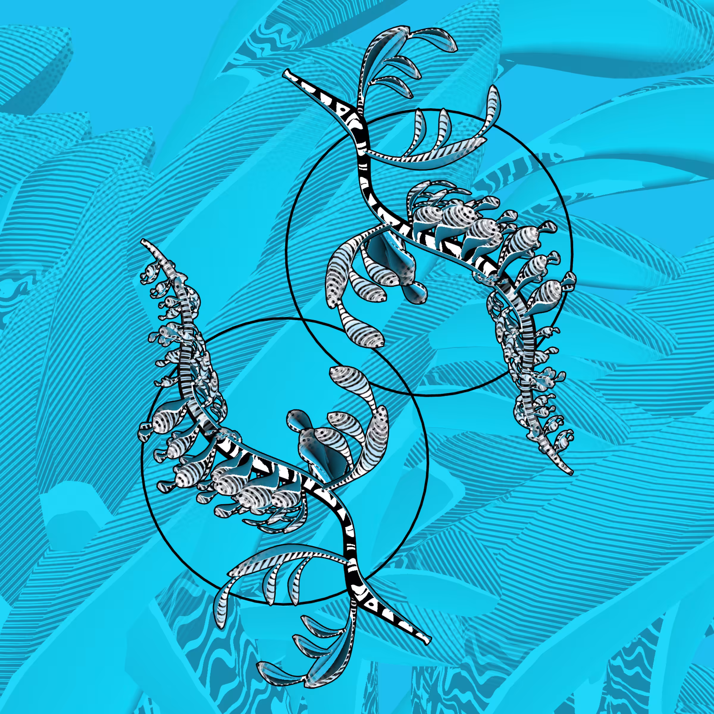 Seadragons #612