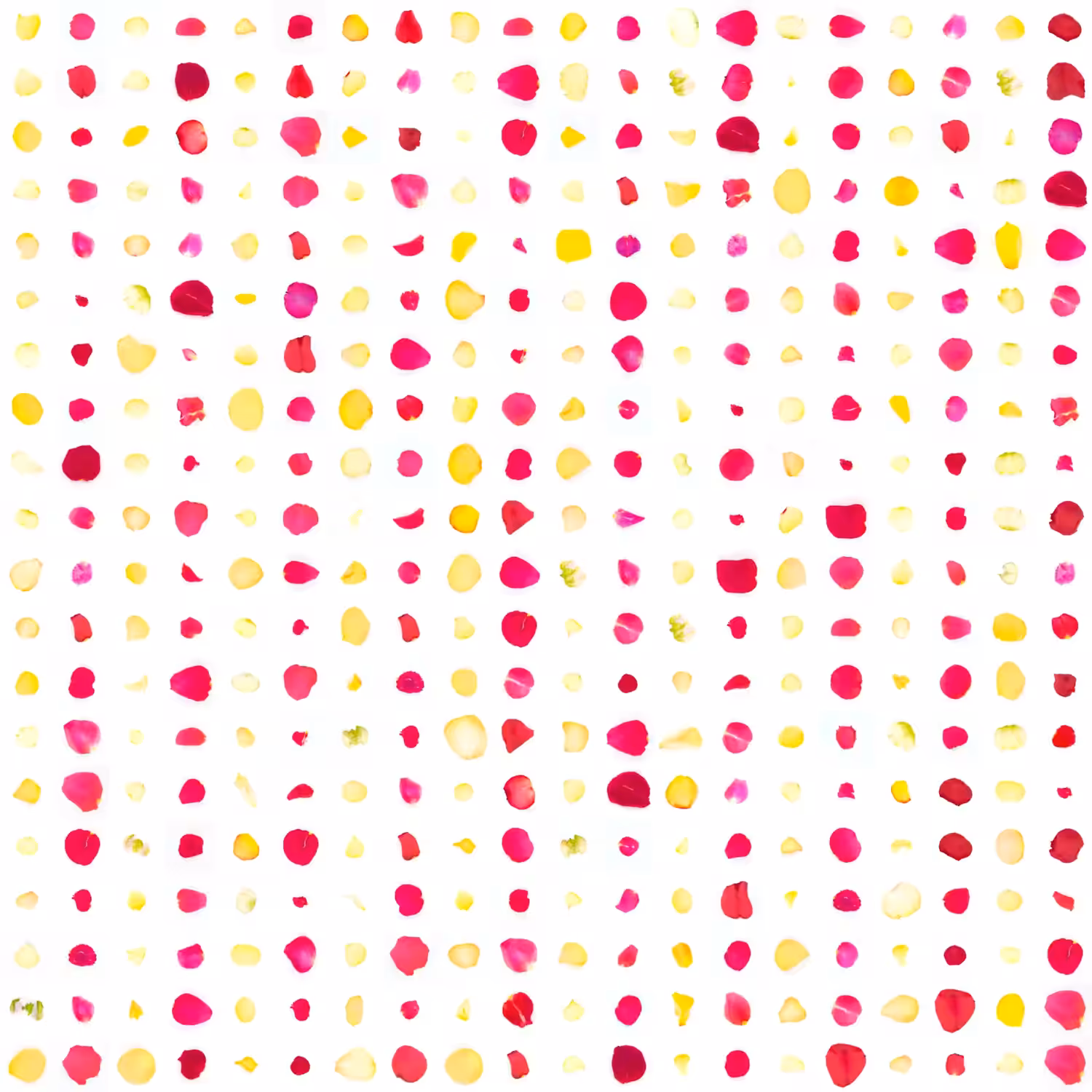 Infinite Petals 20x20#2161
