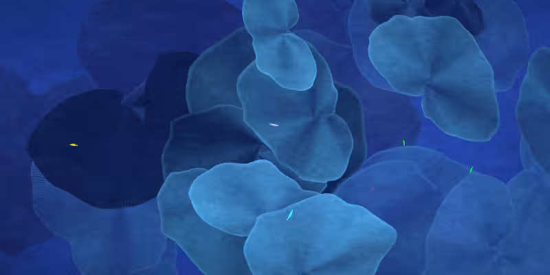 The Restoration Scheme: Reefs #15