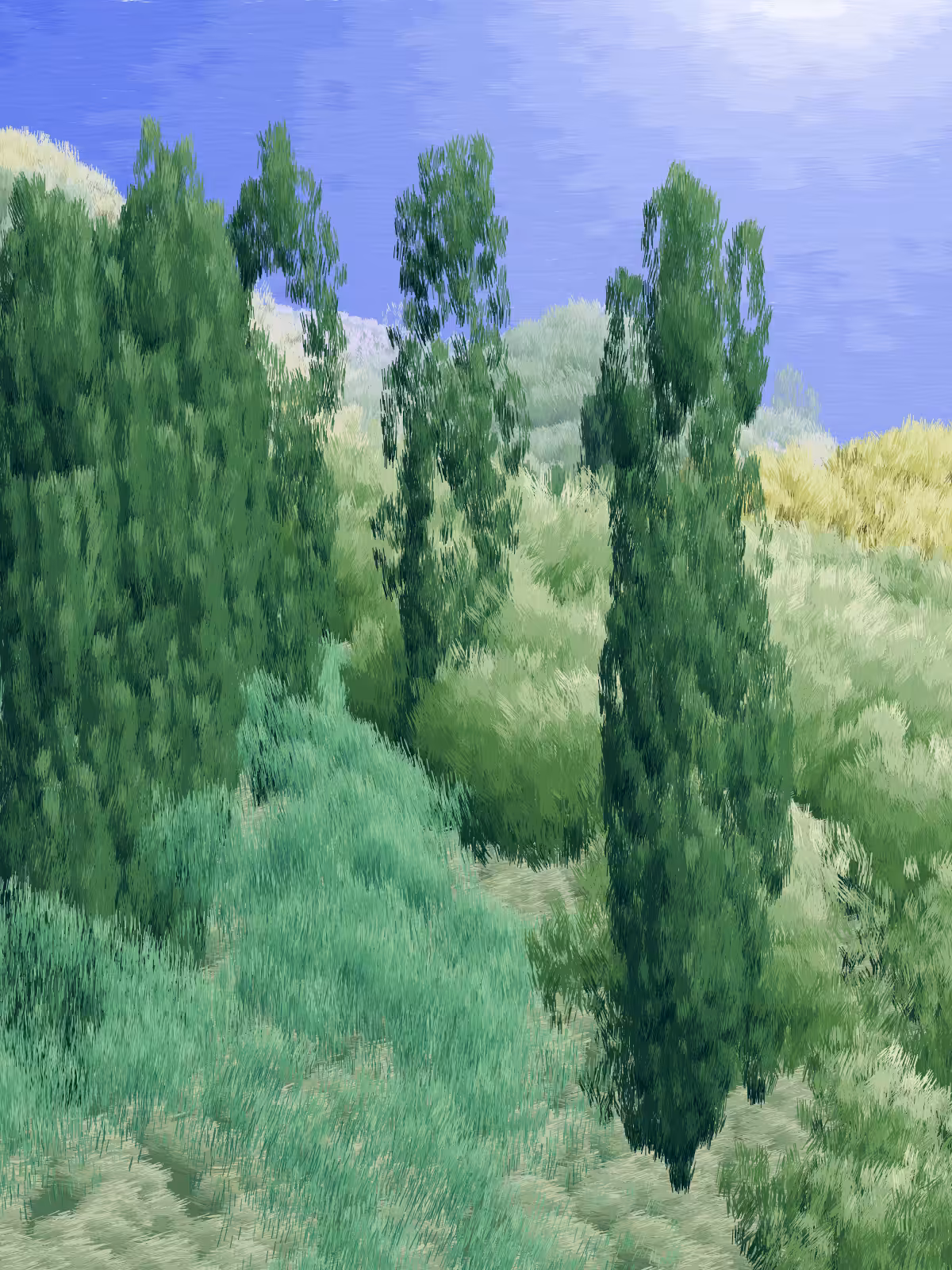 Provence #160