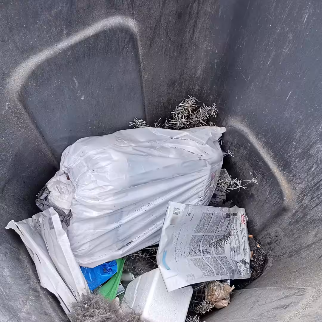 Trash Trip
