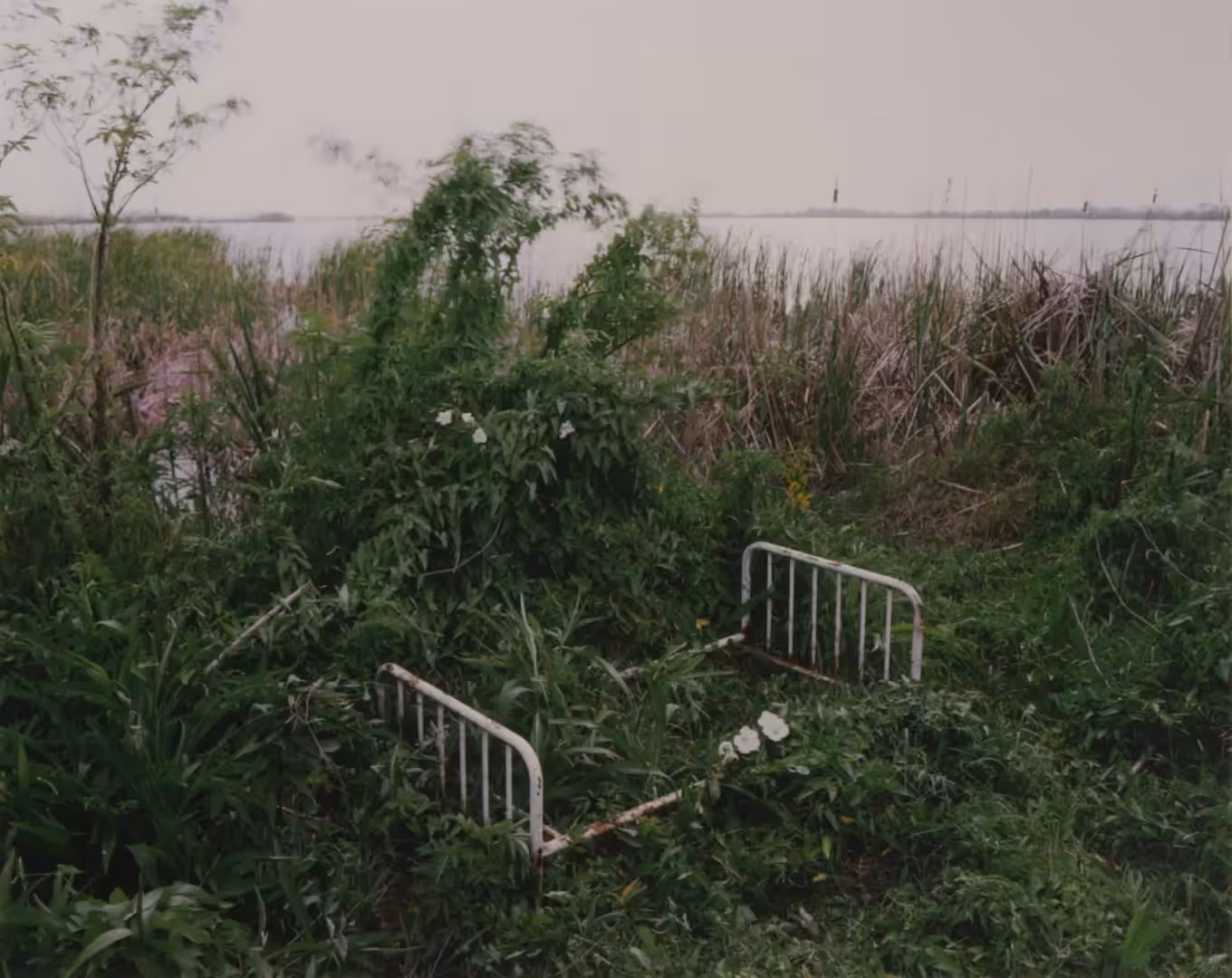  #46 Venice, Louisiana by Alec Soth from Dissolutions (Sleeping by the Mississippi)
