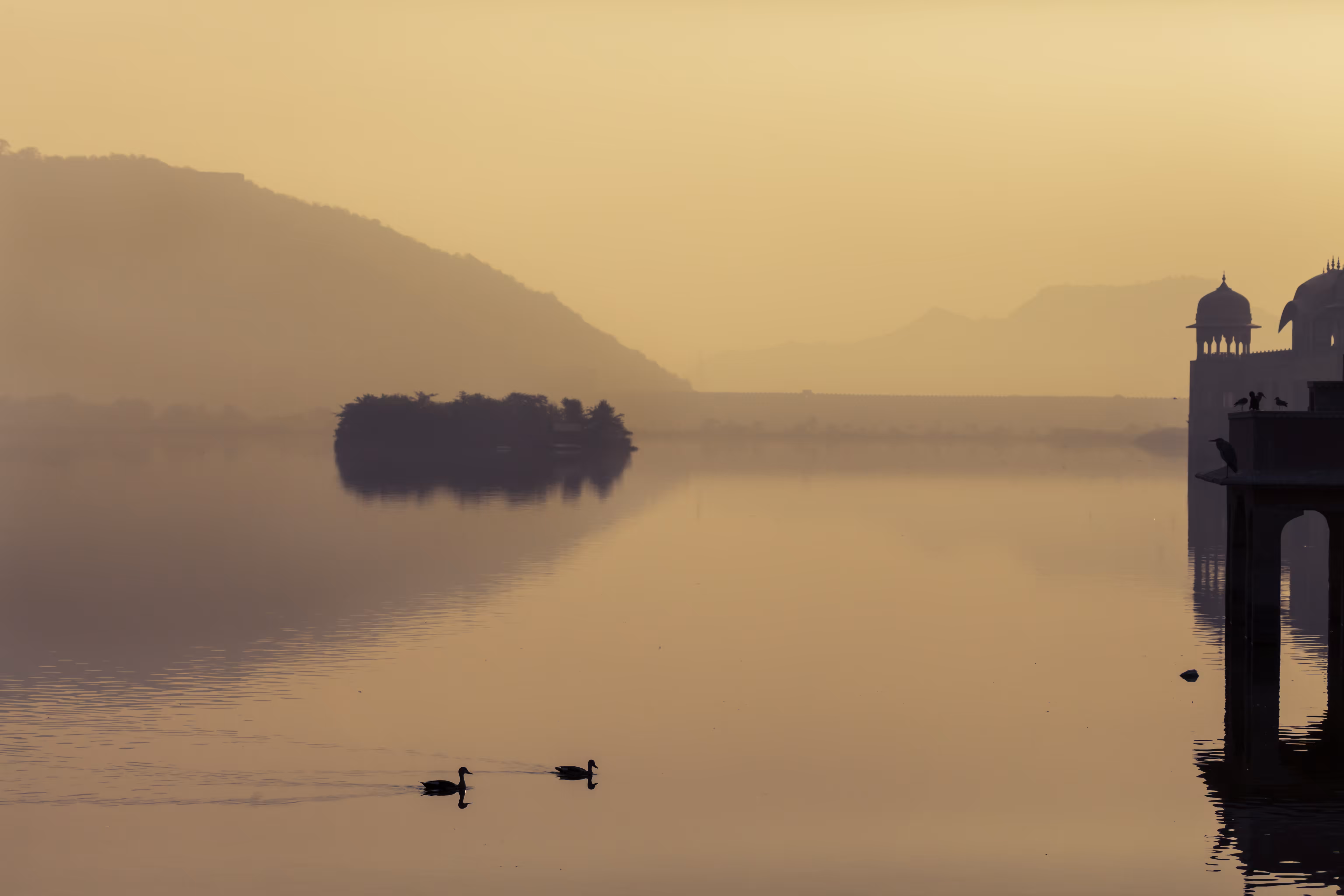 Tranquillity