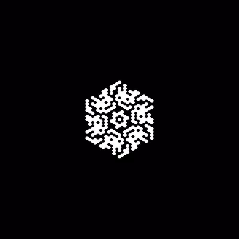 Snowflake #216