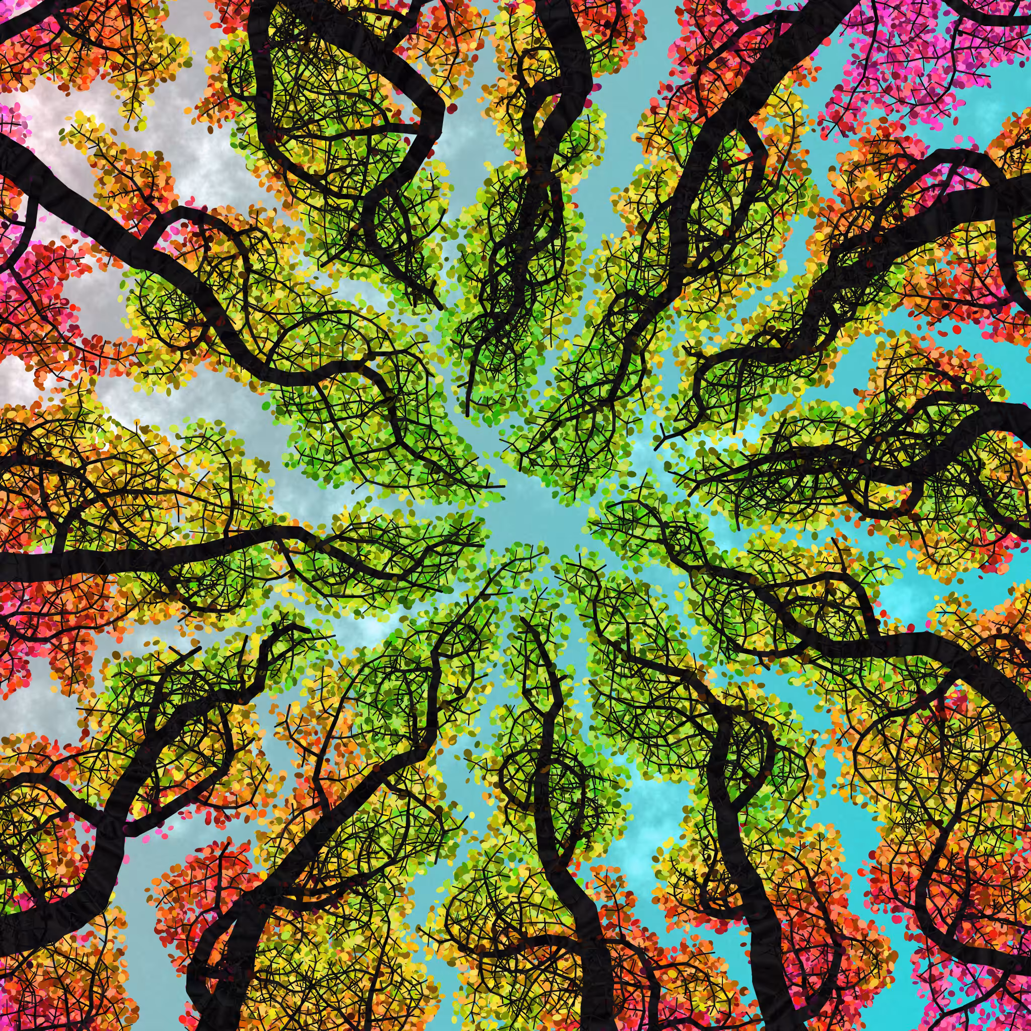 Tree Skyness #213