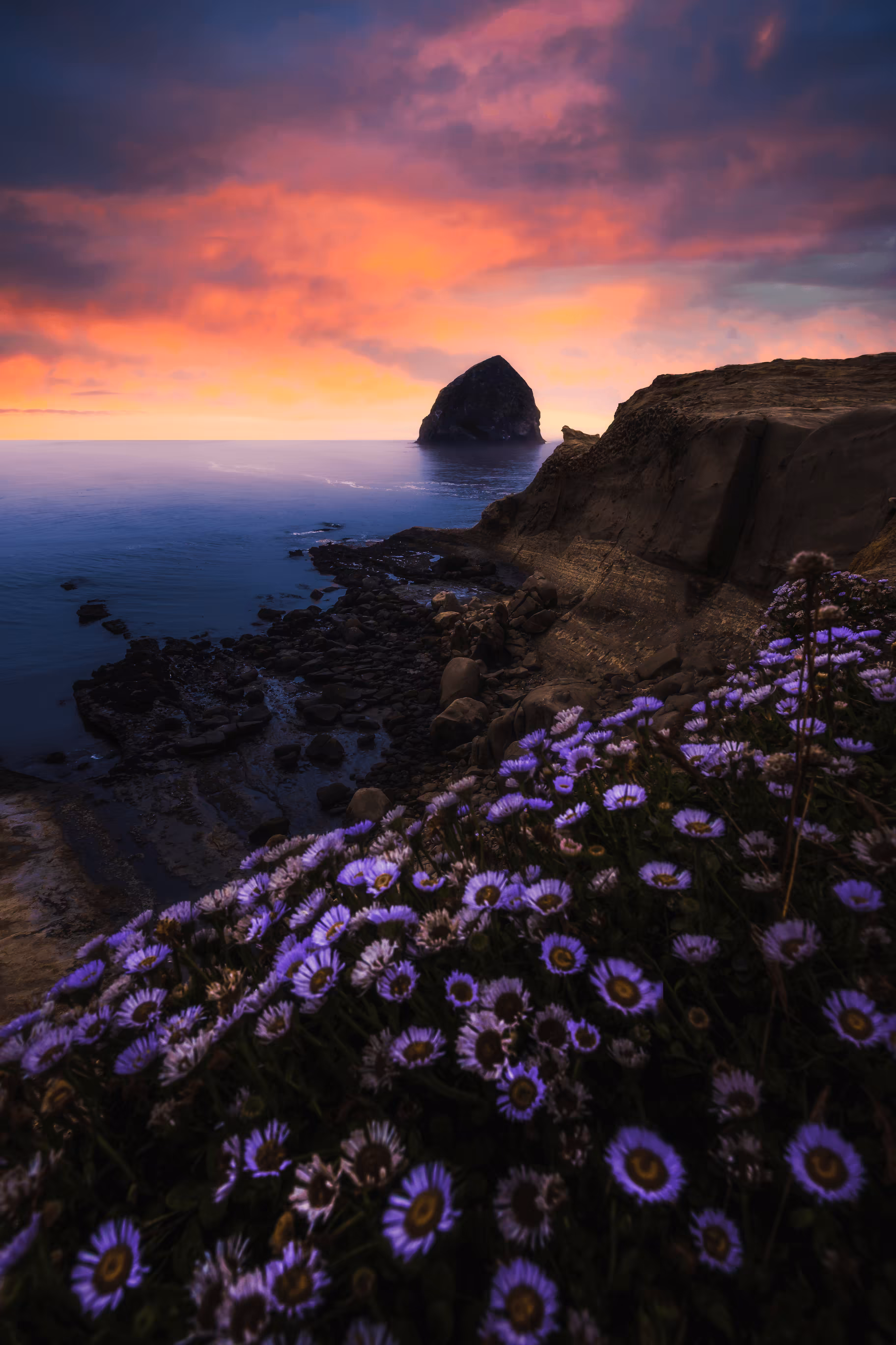 Lands End #19