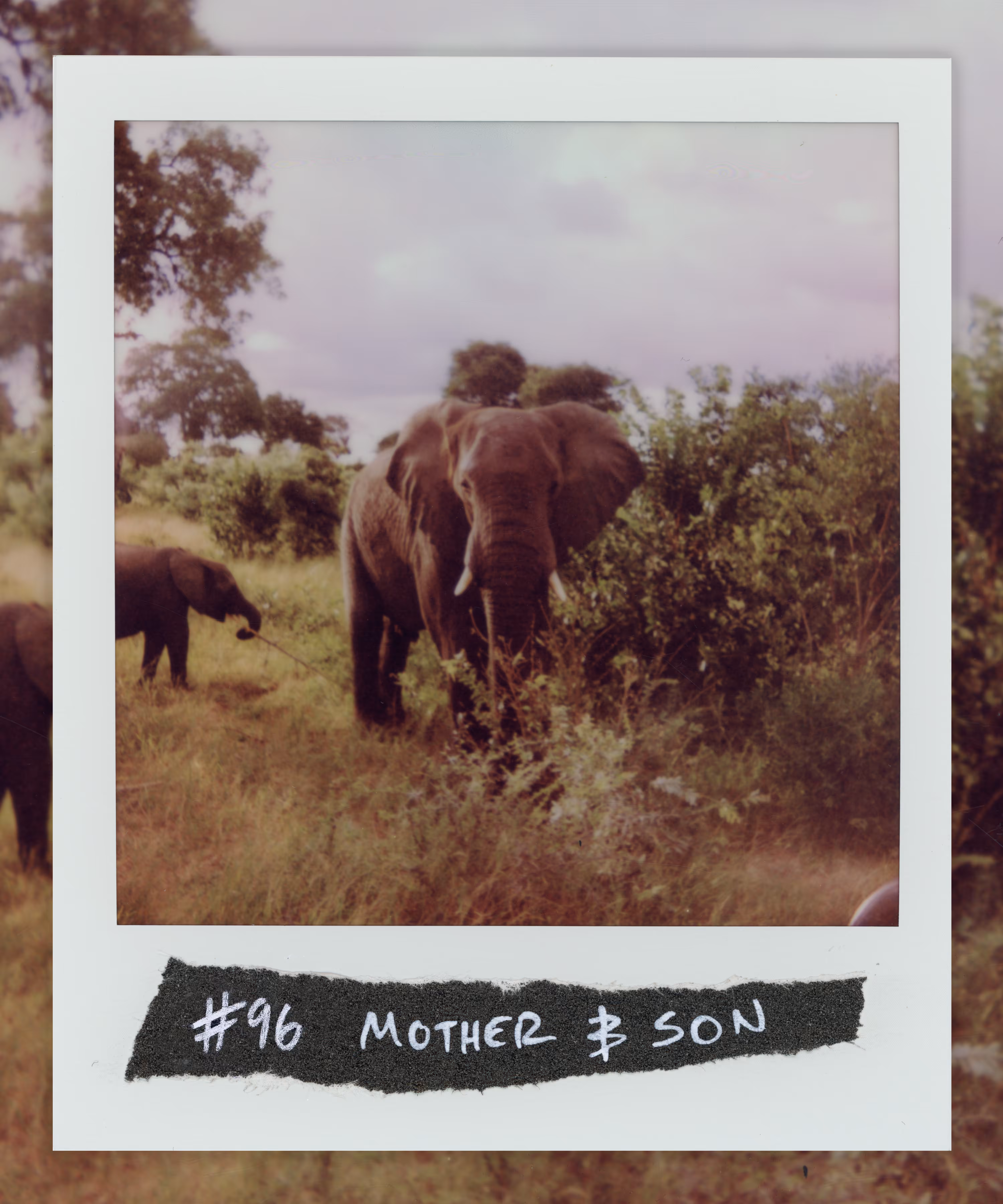 99 Originals: #96 MOTHER & SON