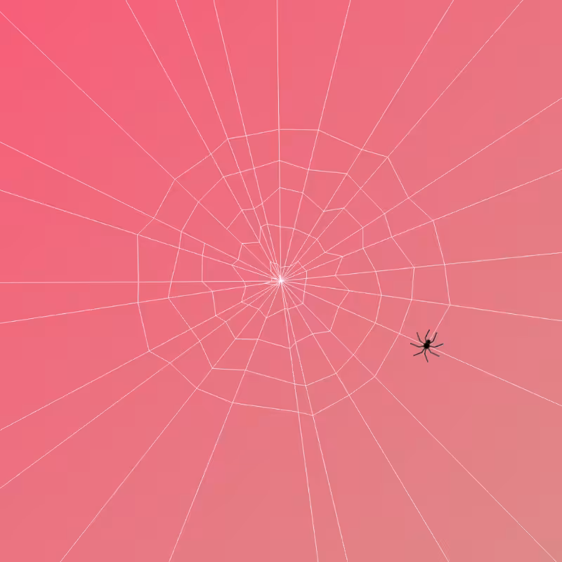 Weaving Spiders #10