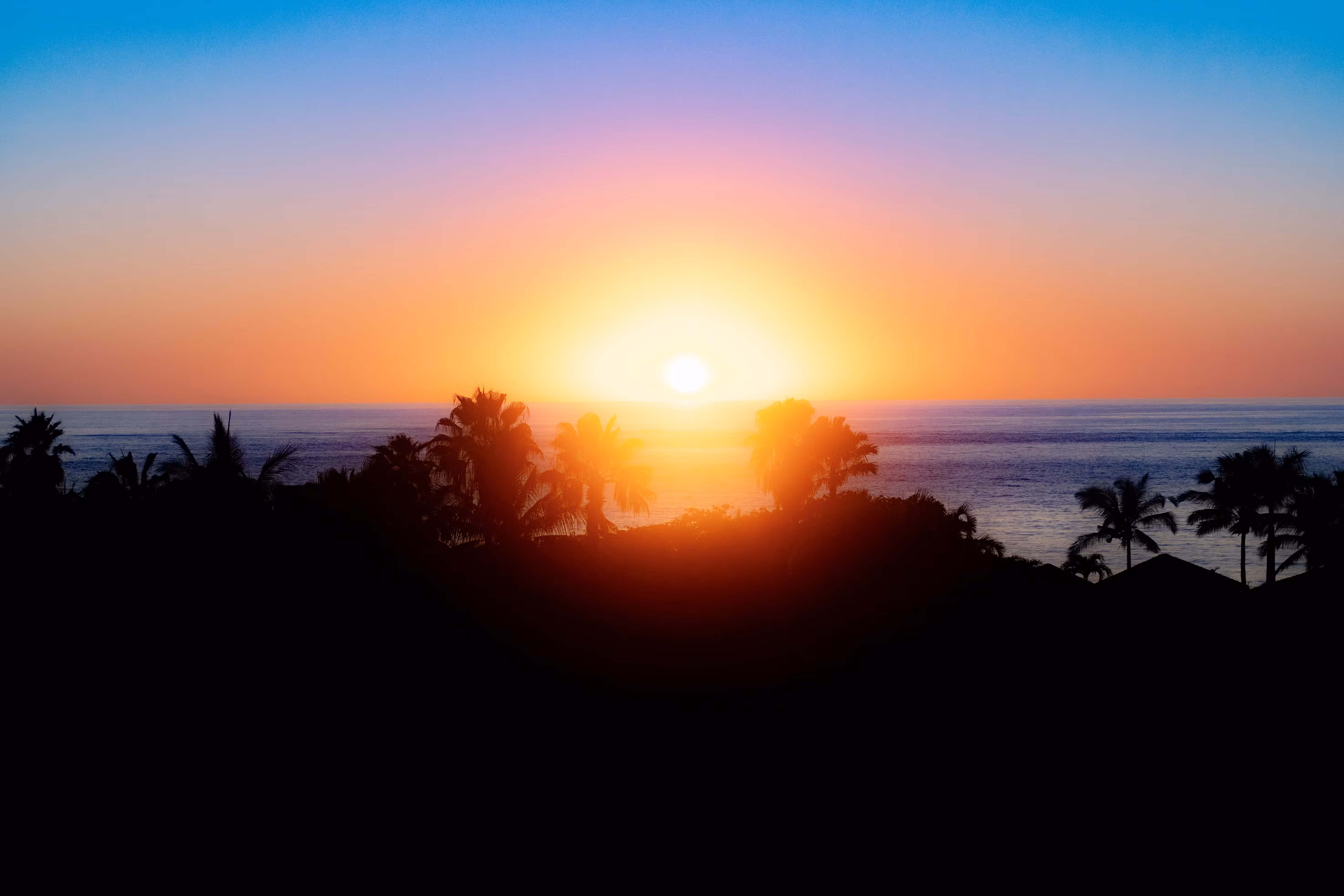 Sunset Daydream