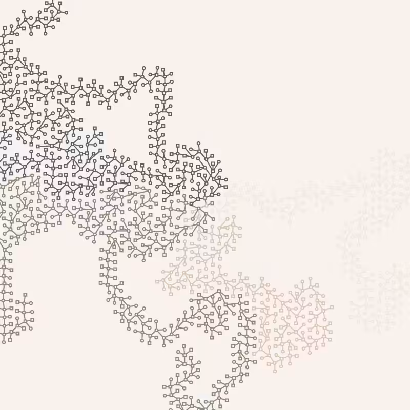 Networks #72