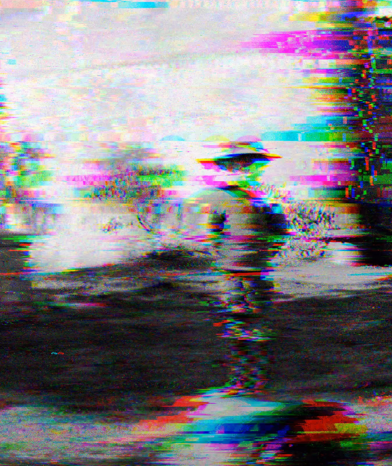 Every Single Memory is Damaged (The Poetics of Loss)