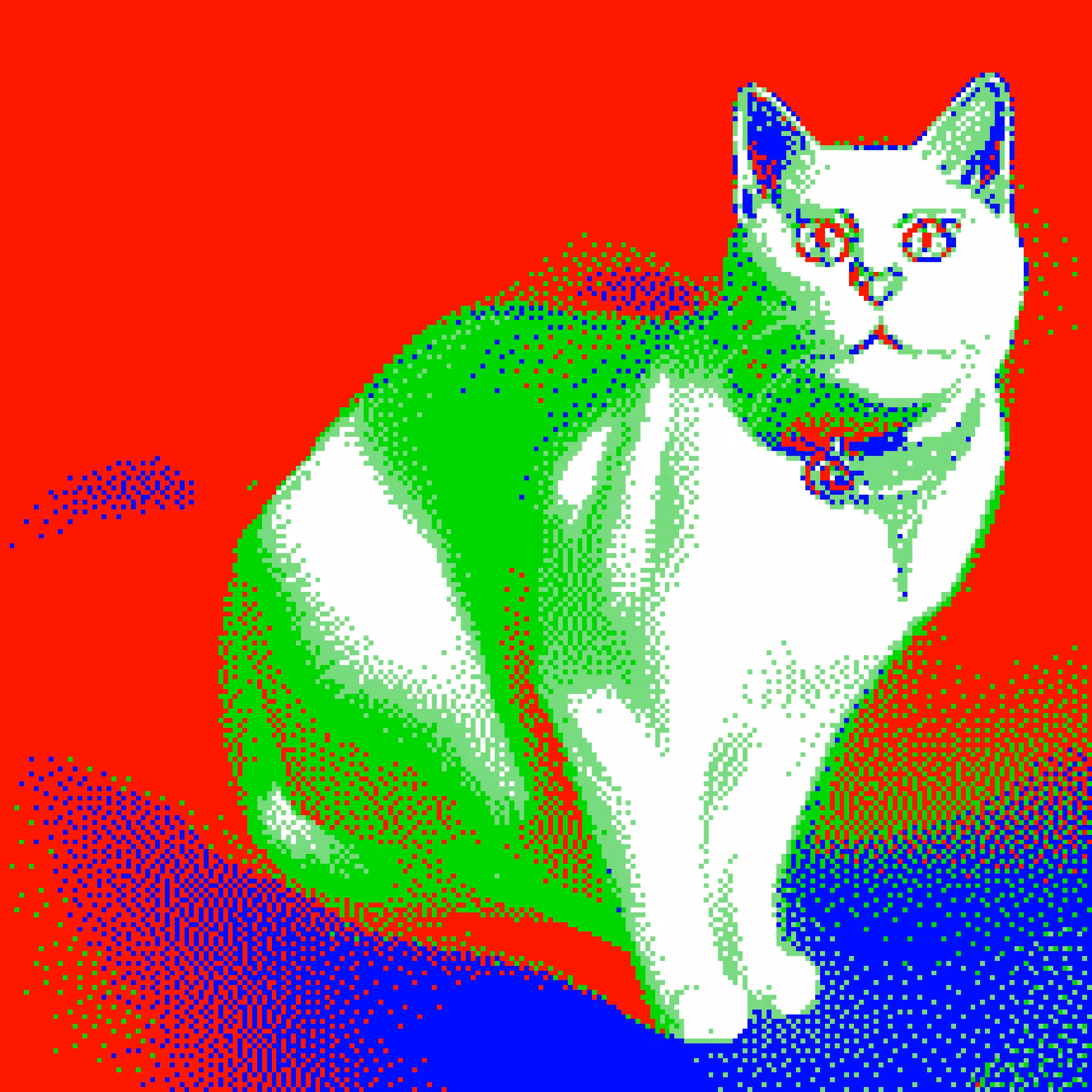 bossy cat