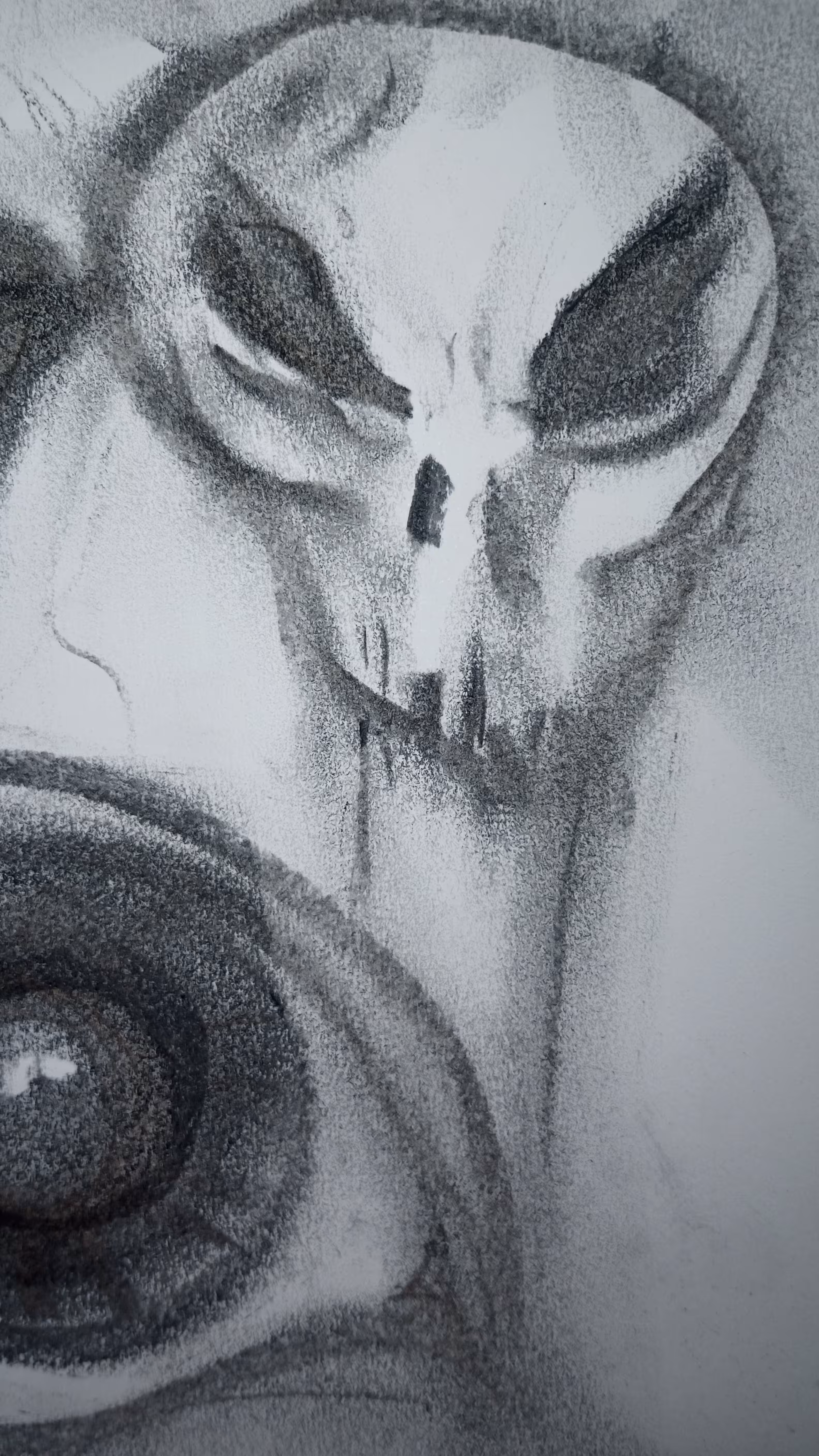 You Want My Skull (I Hope)