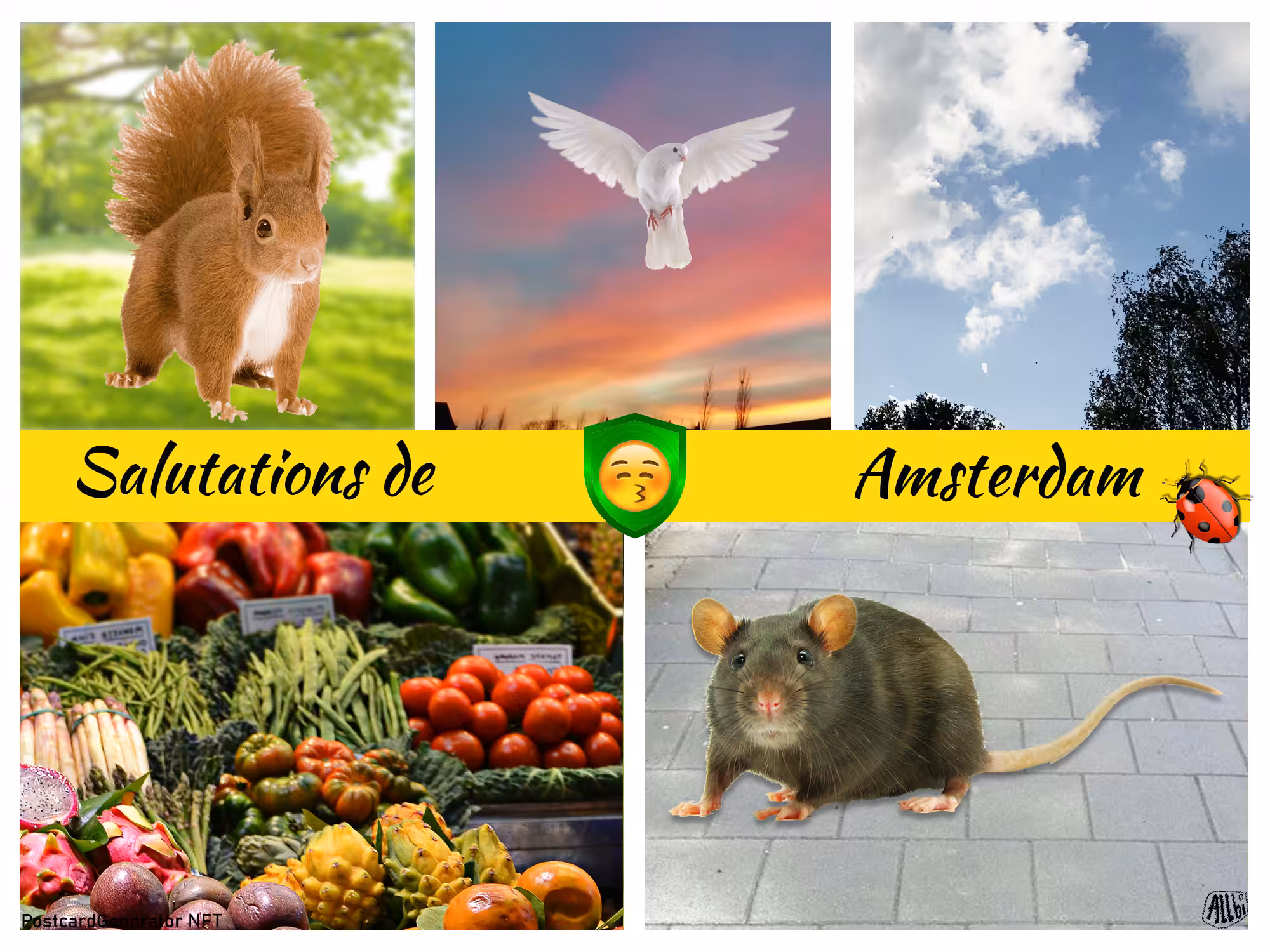 PostCardGenerator card 145