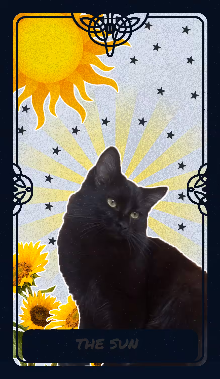 The Sun