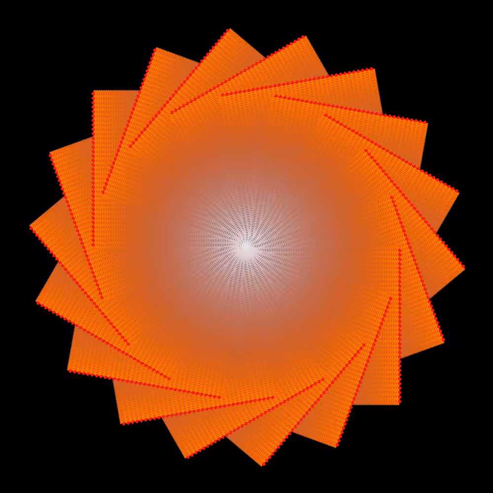 Poppy #242