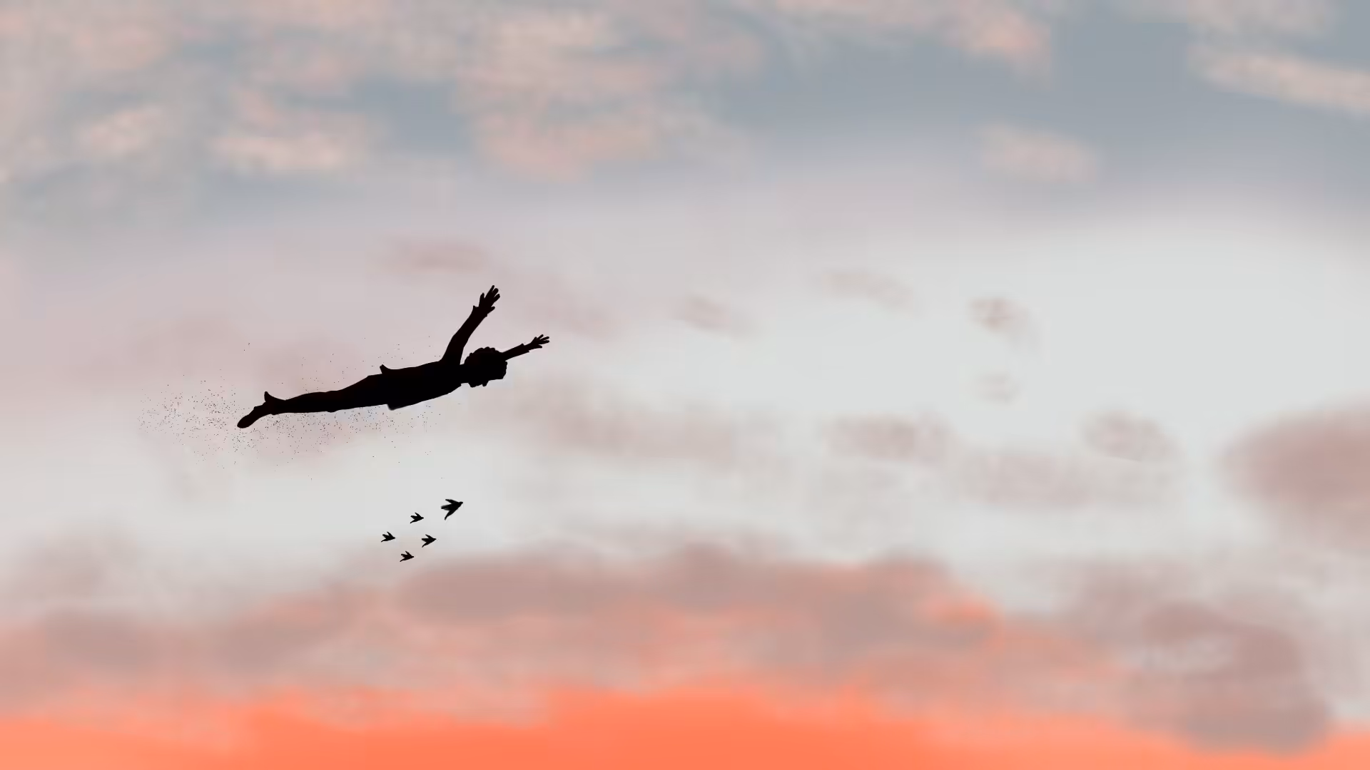 Flying Dream
