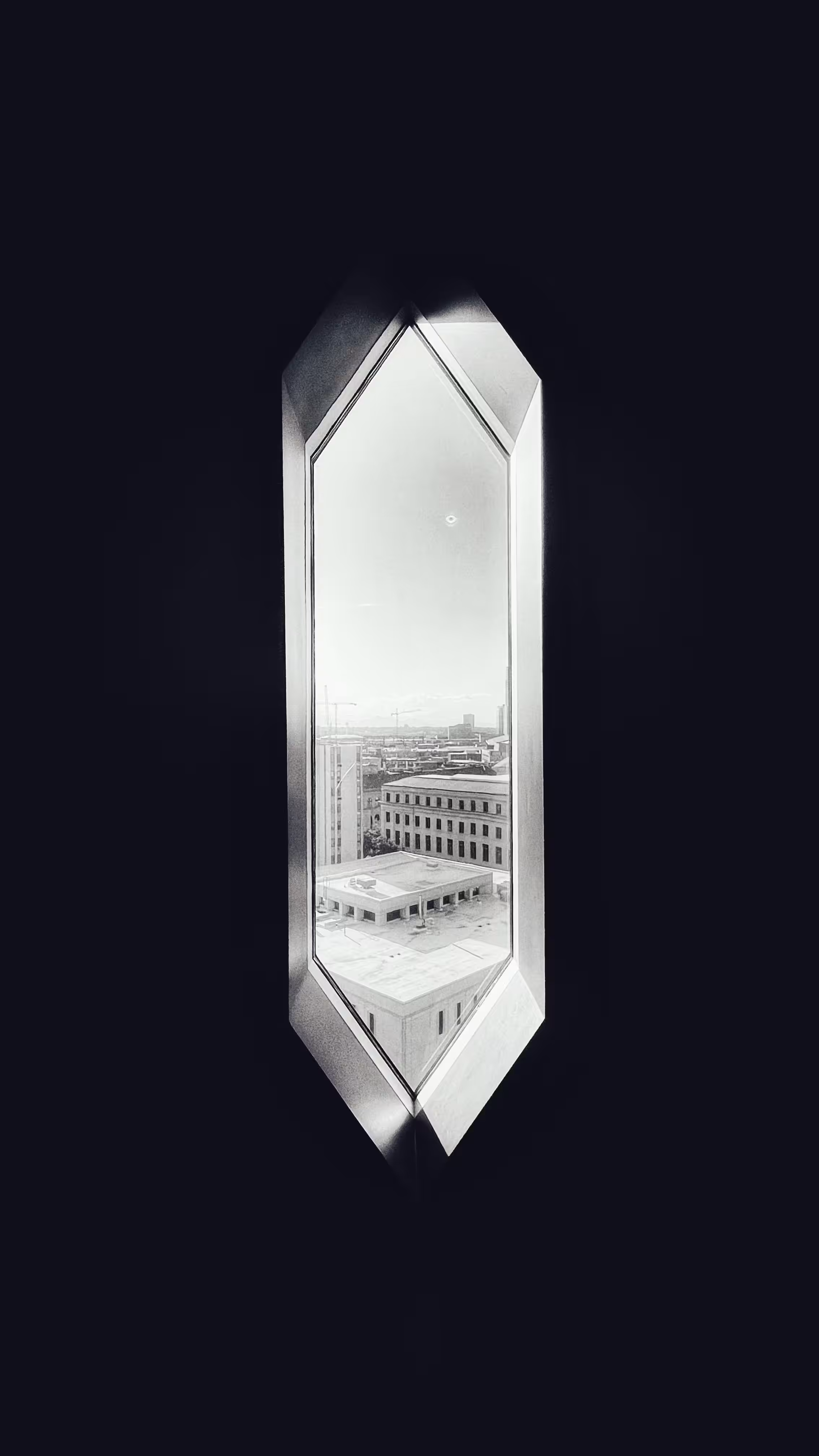 The View