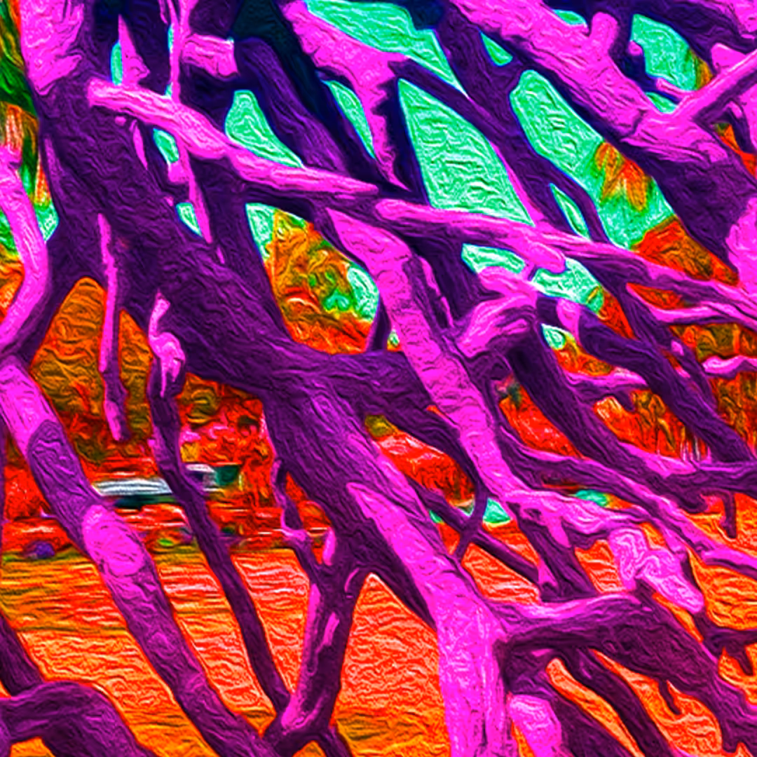 BRANCHES