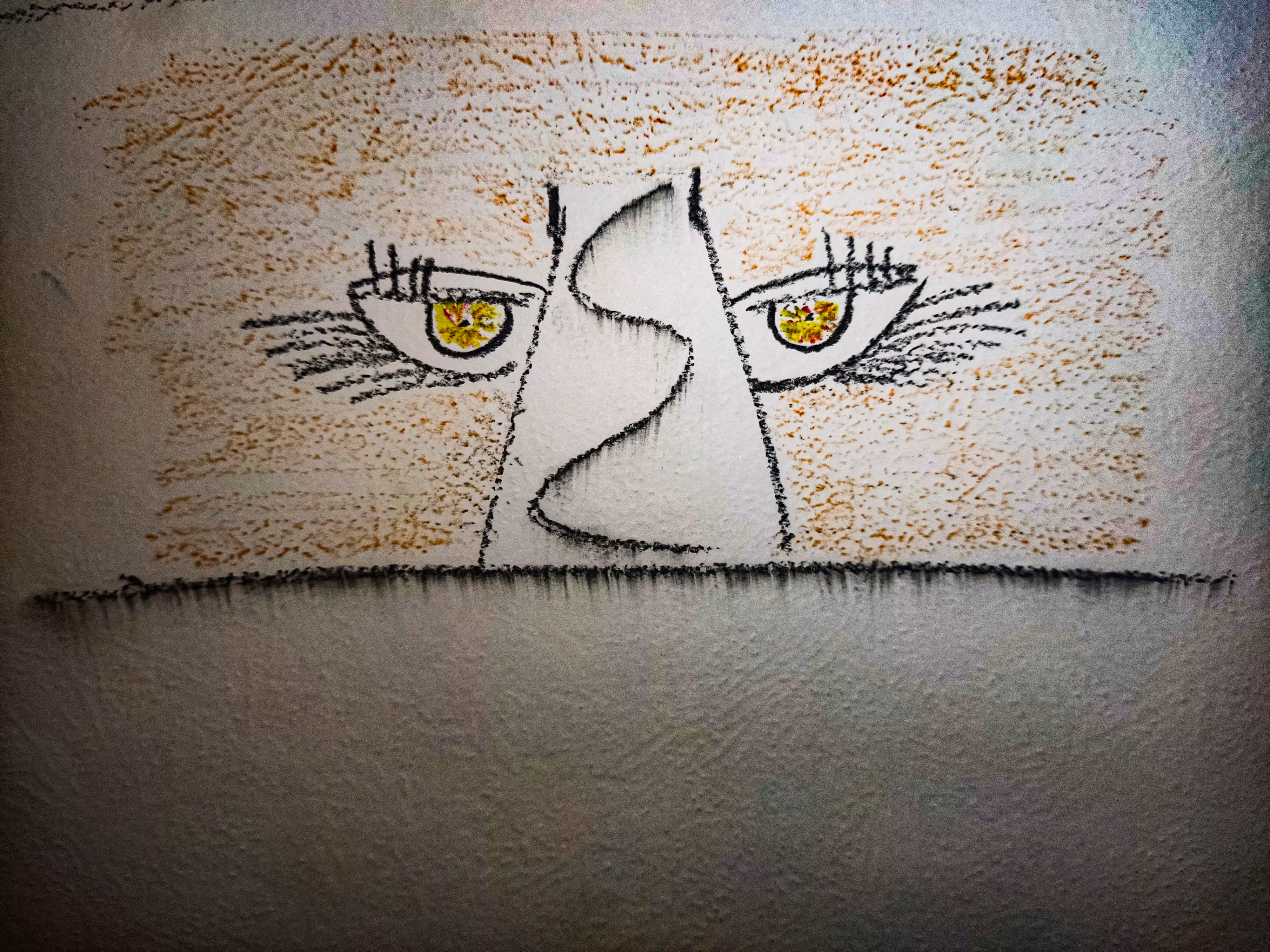 The eyes of the world