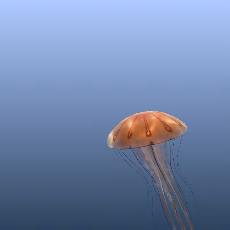 Jellyfish #20