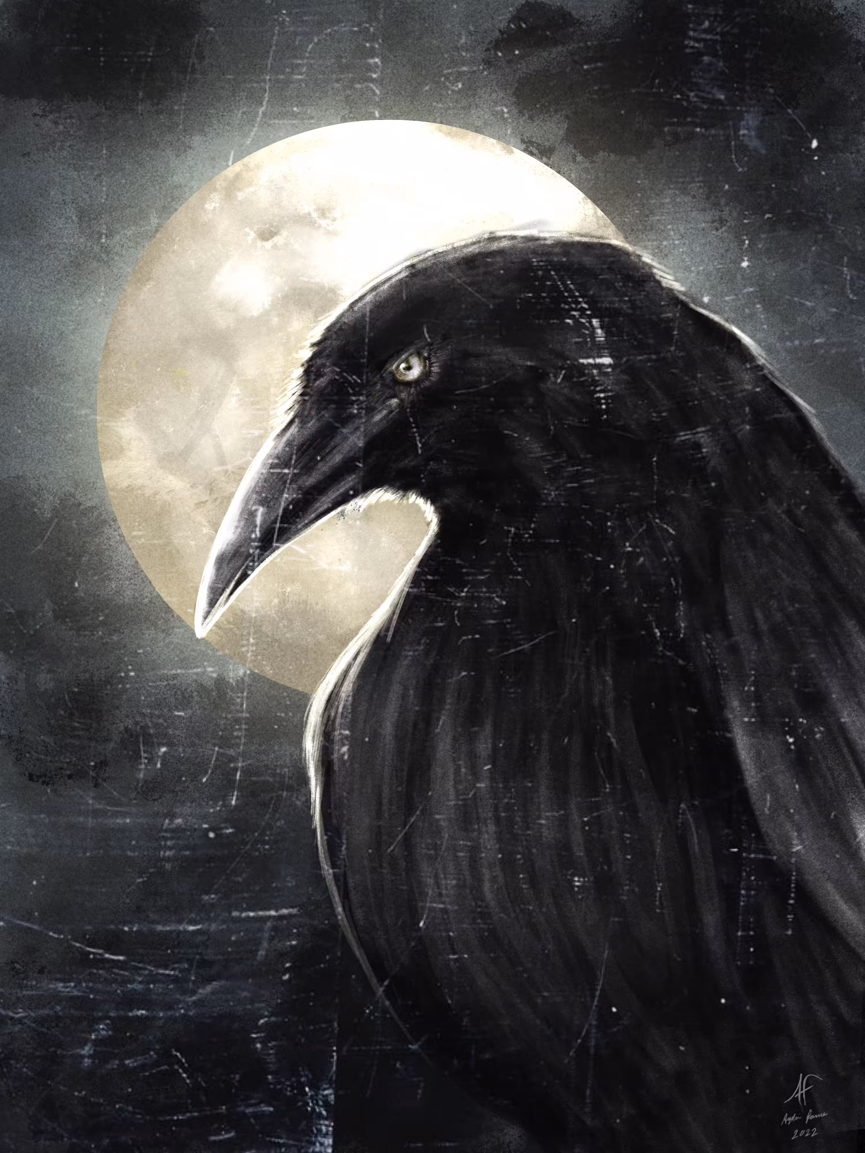 Bird of the night 