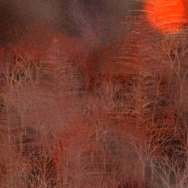 Moonlit Native Bush #40