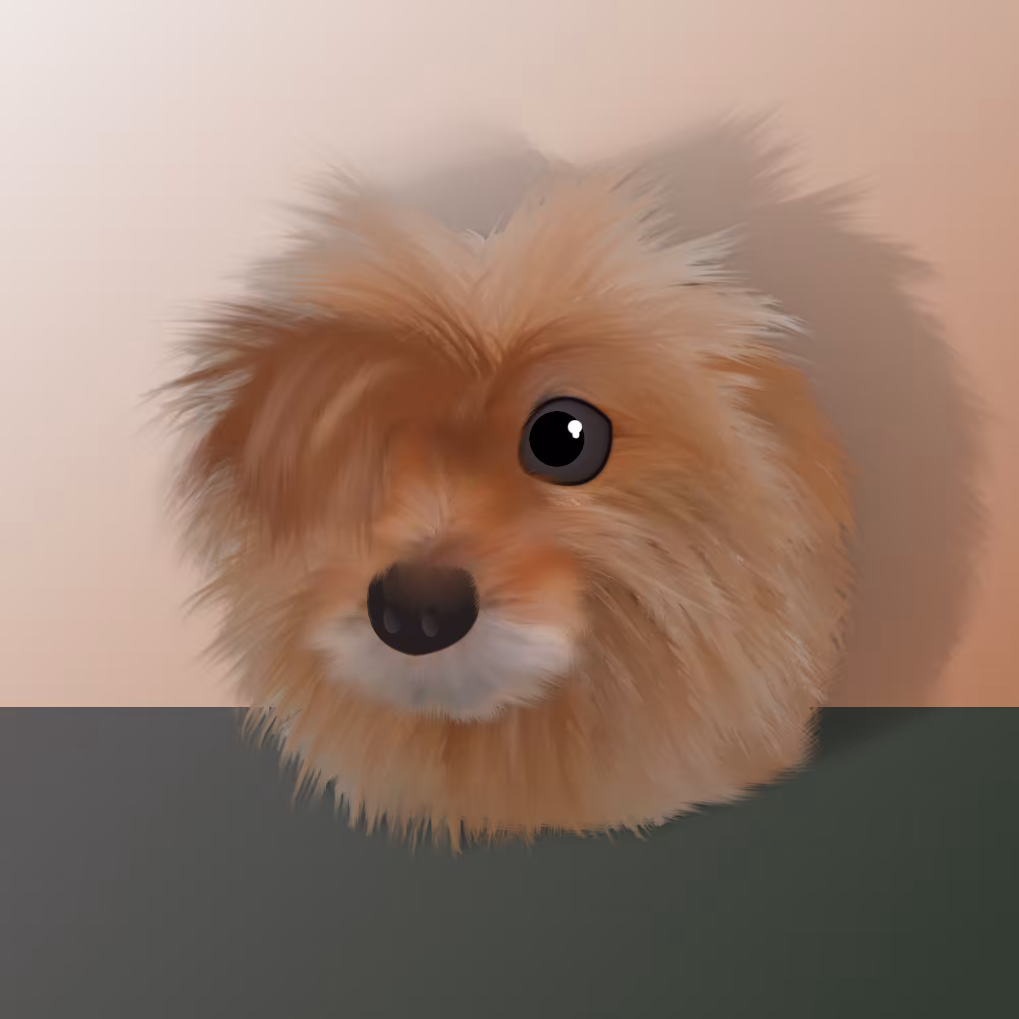 Cookie
