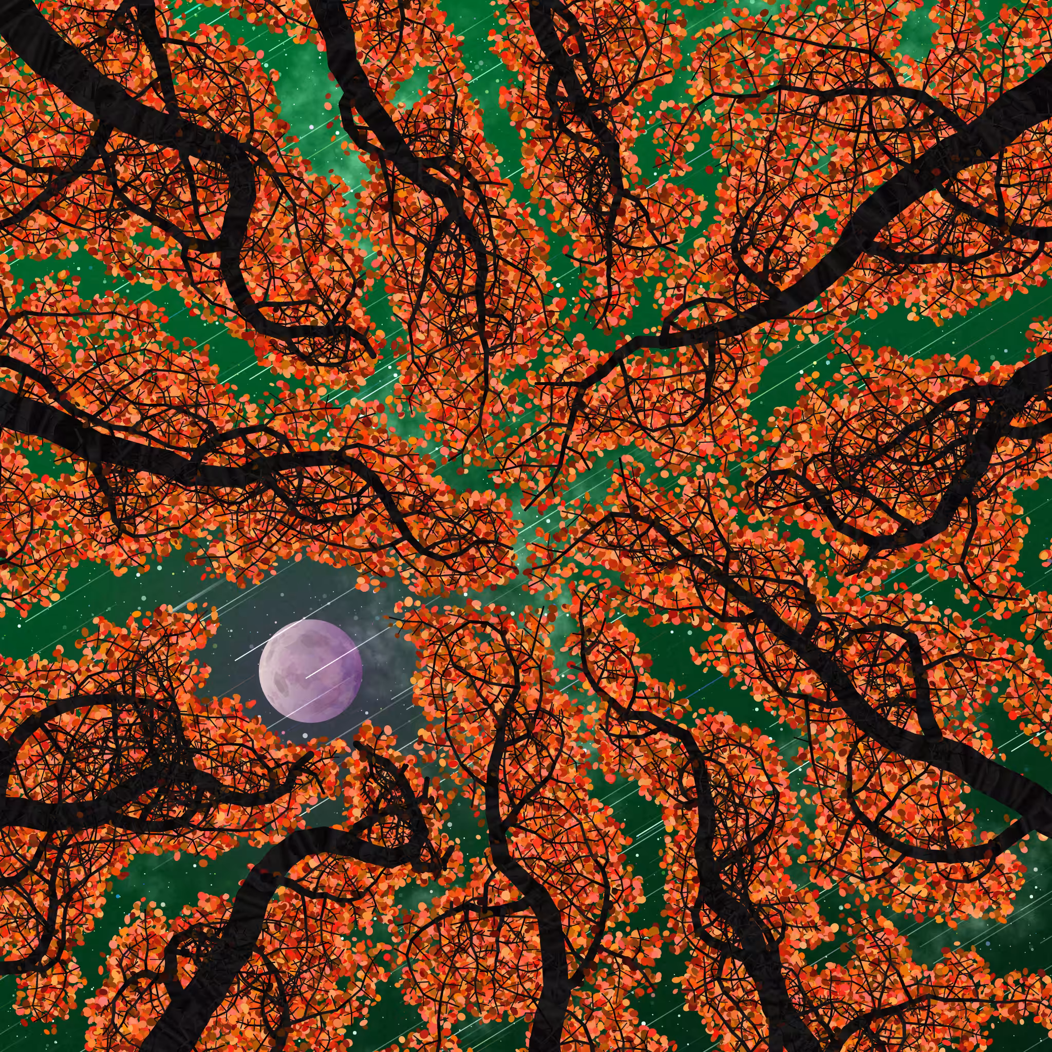 Tree Skyness #177