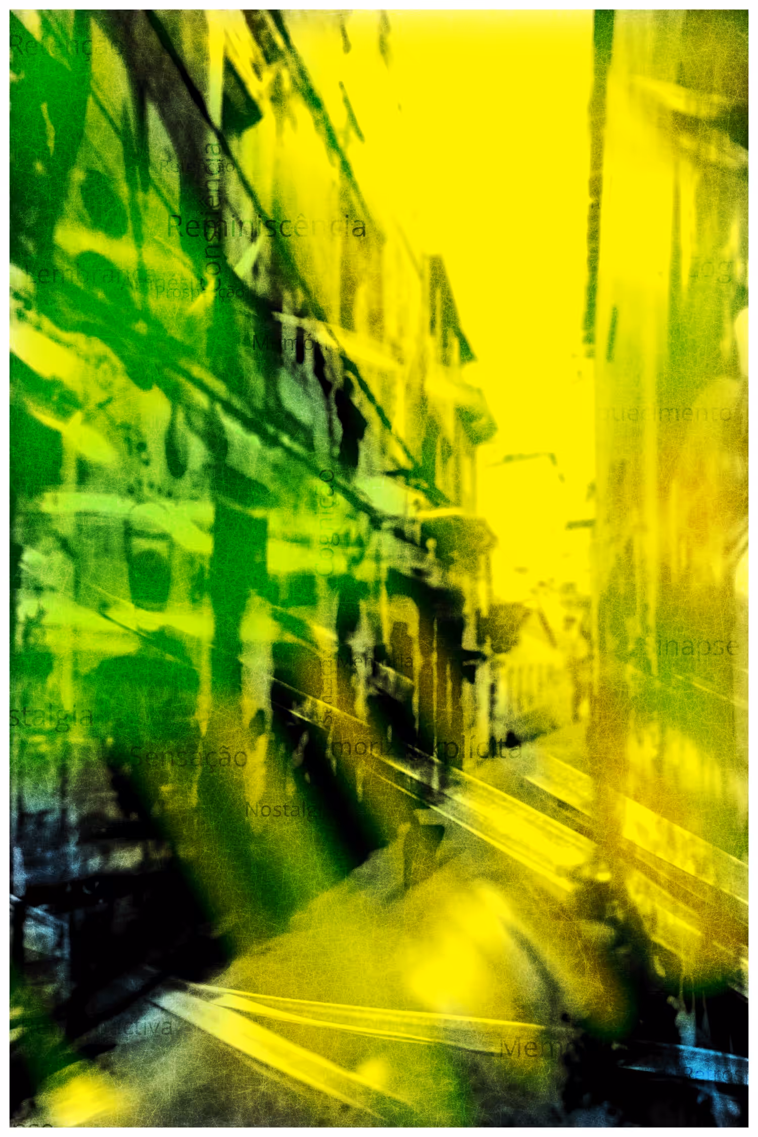 ANIMA #29
