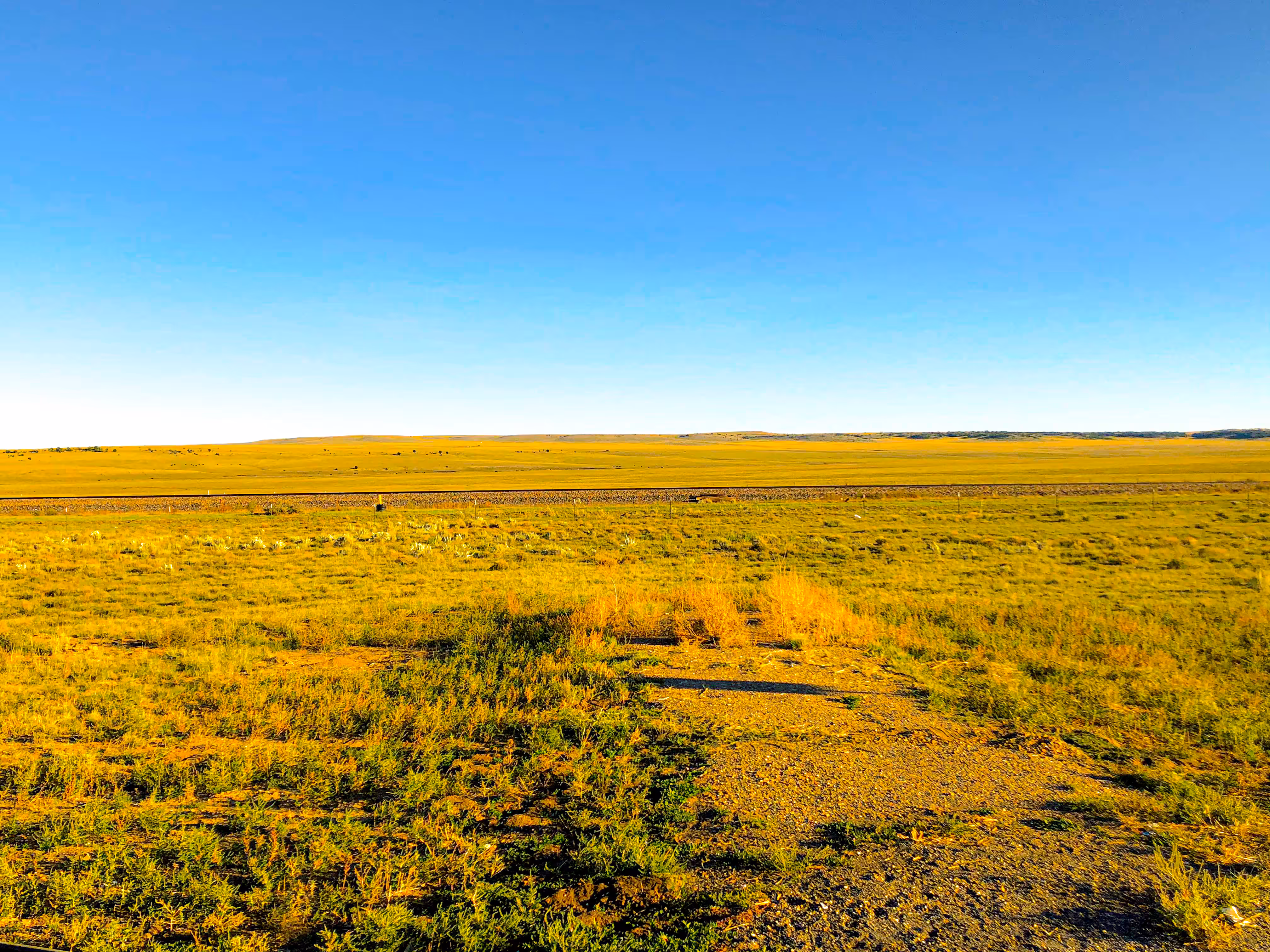 prairie