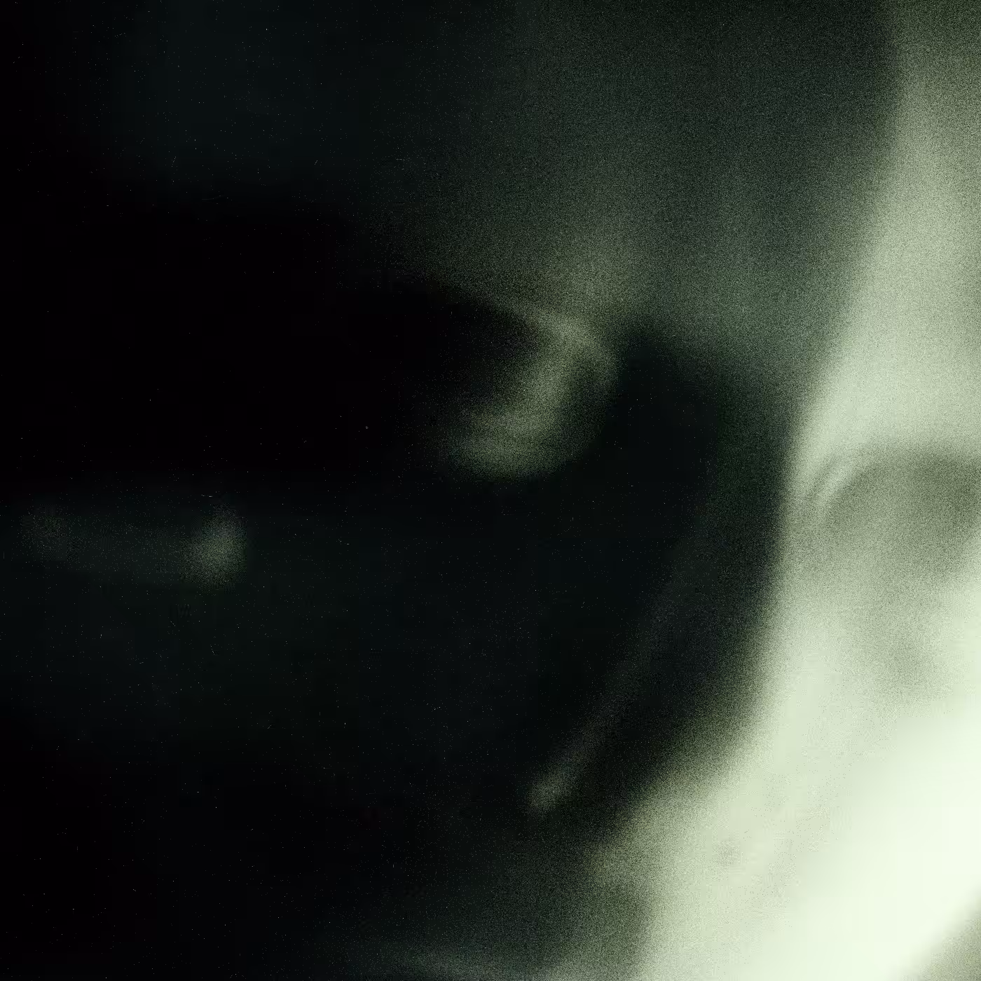 Emotional Shell #171
