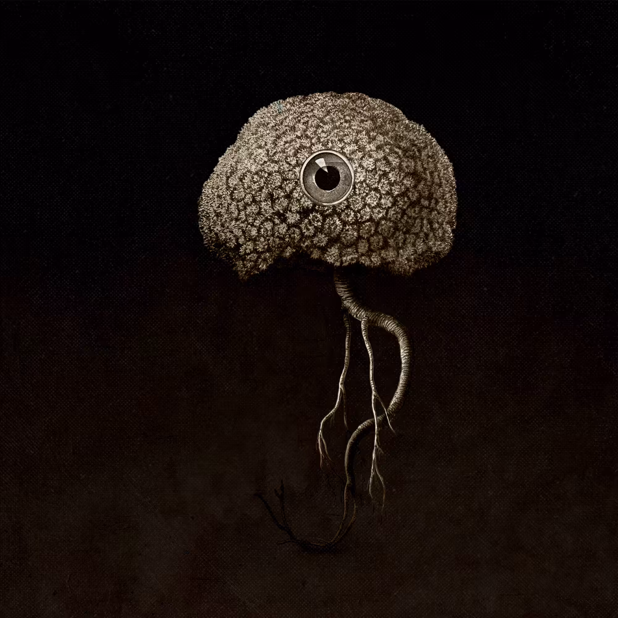 Cyclops Nervous System /NC#1