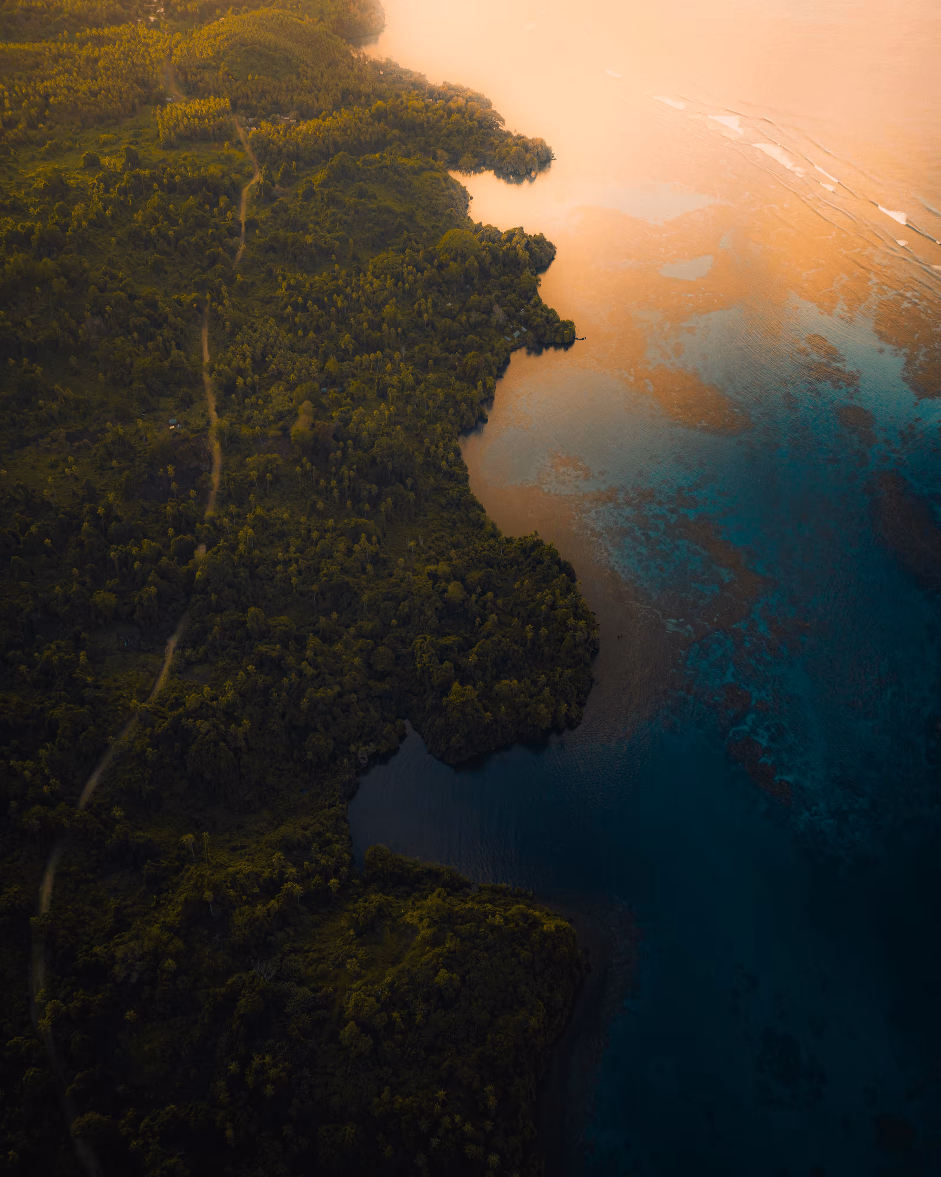 “Journey of Colour” #7