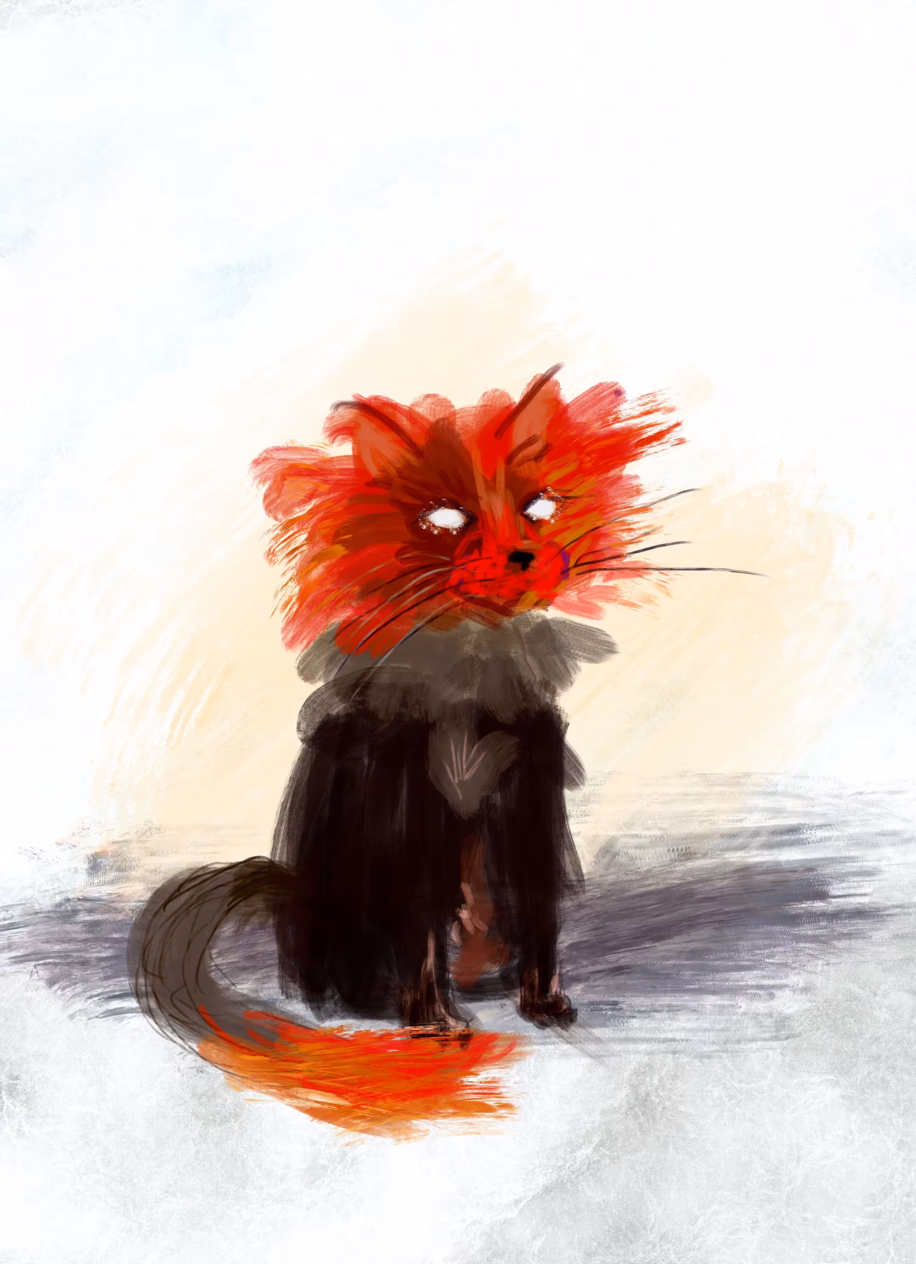 Pyrrhus the cat