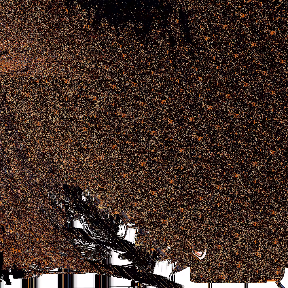 Destruction of a Quail 09 - Detail 8