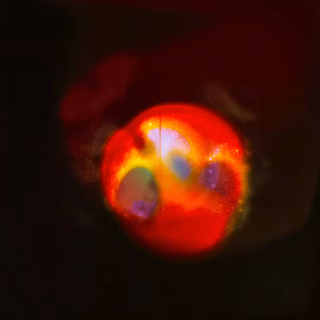 Spacey 