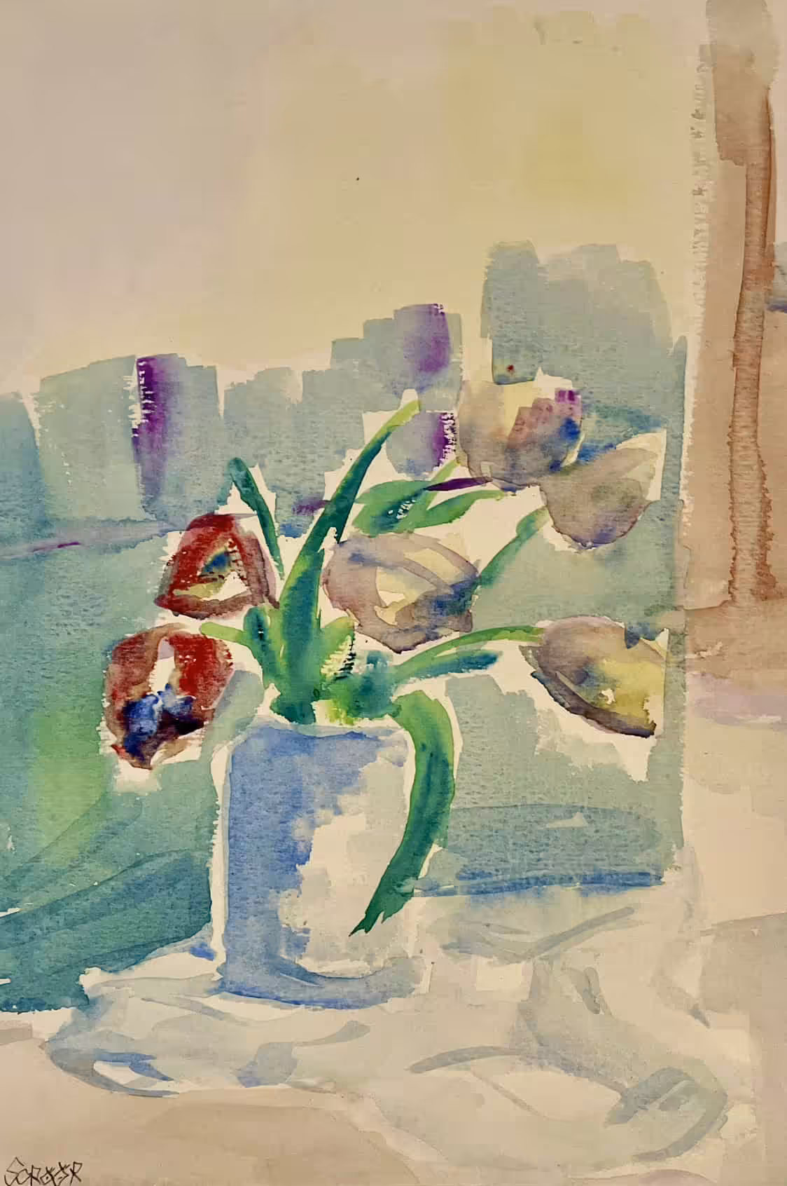 my dreamy tulips